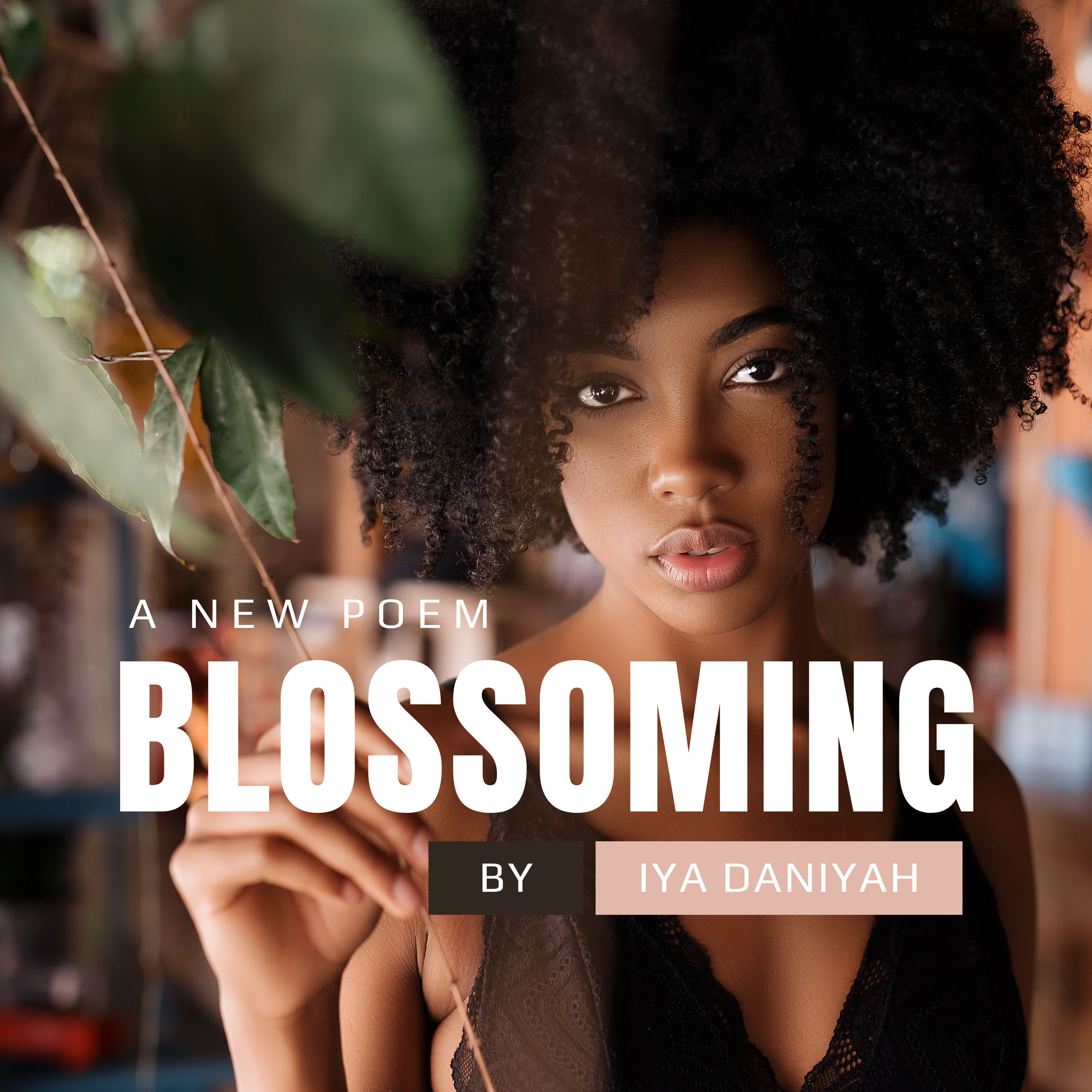 Niyah\'s Divine Garden