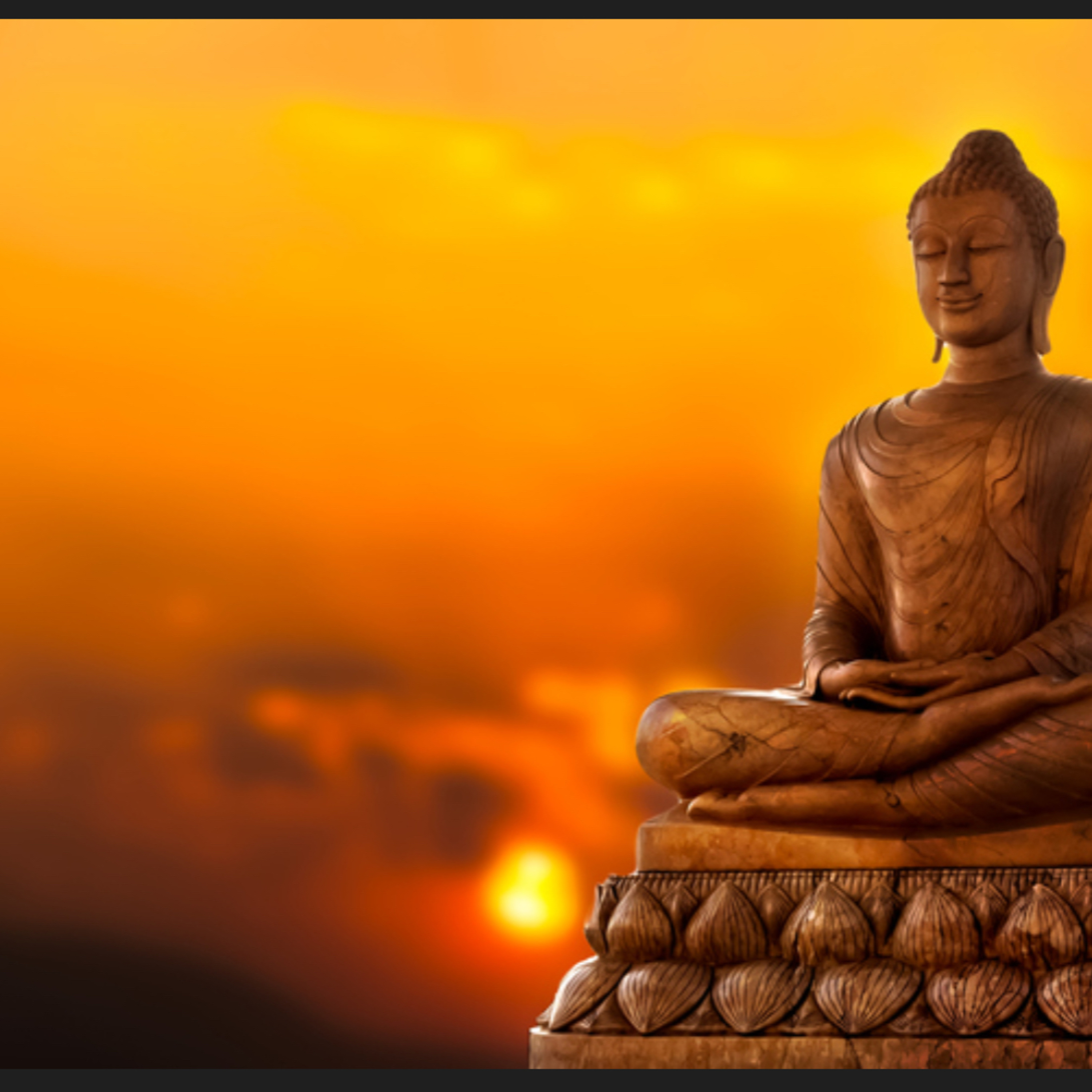 The Wayward Wanderer..wandering thoughts of transformation.