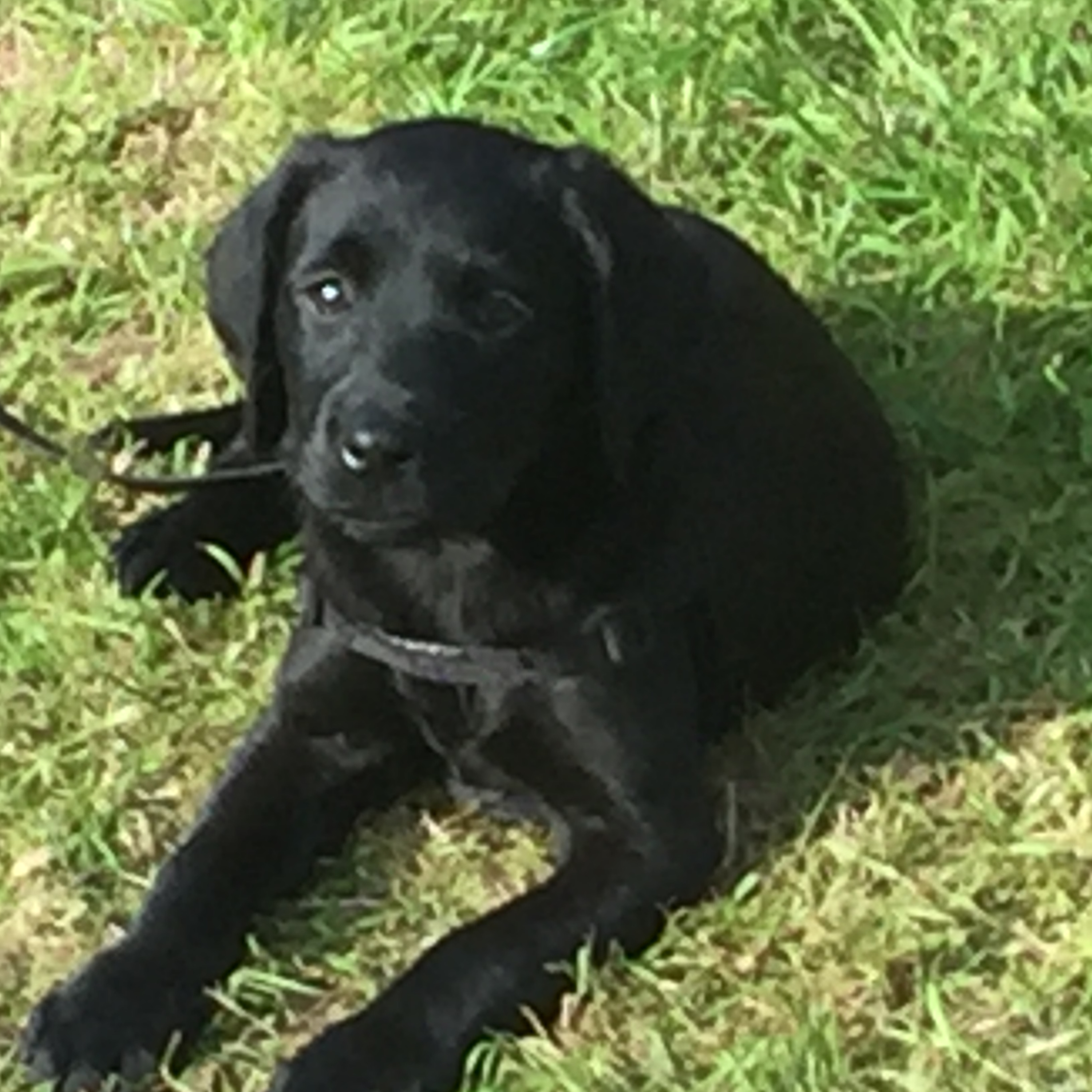 The Wayward Wanderer..wandering thoughts of transformation.