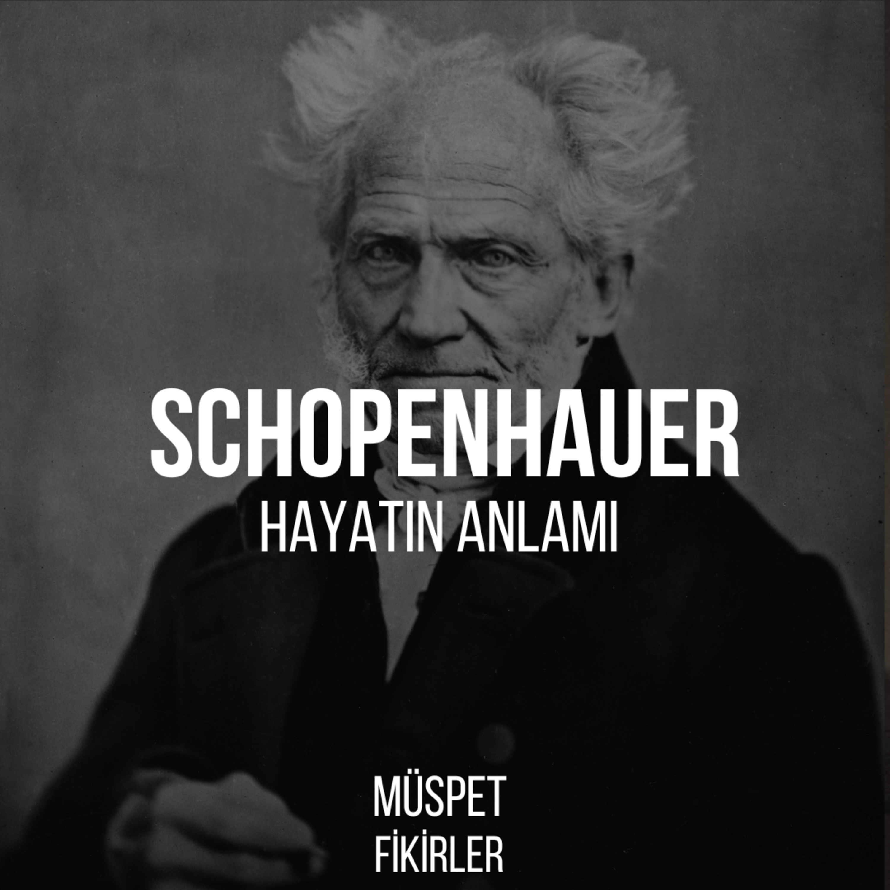 Müspet Fikirler