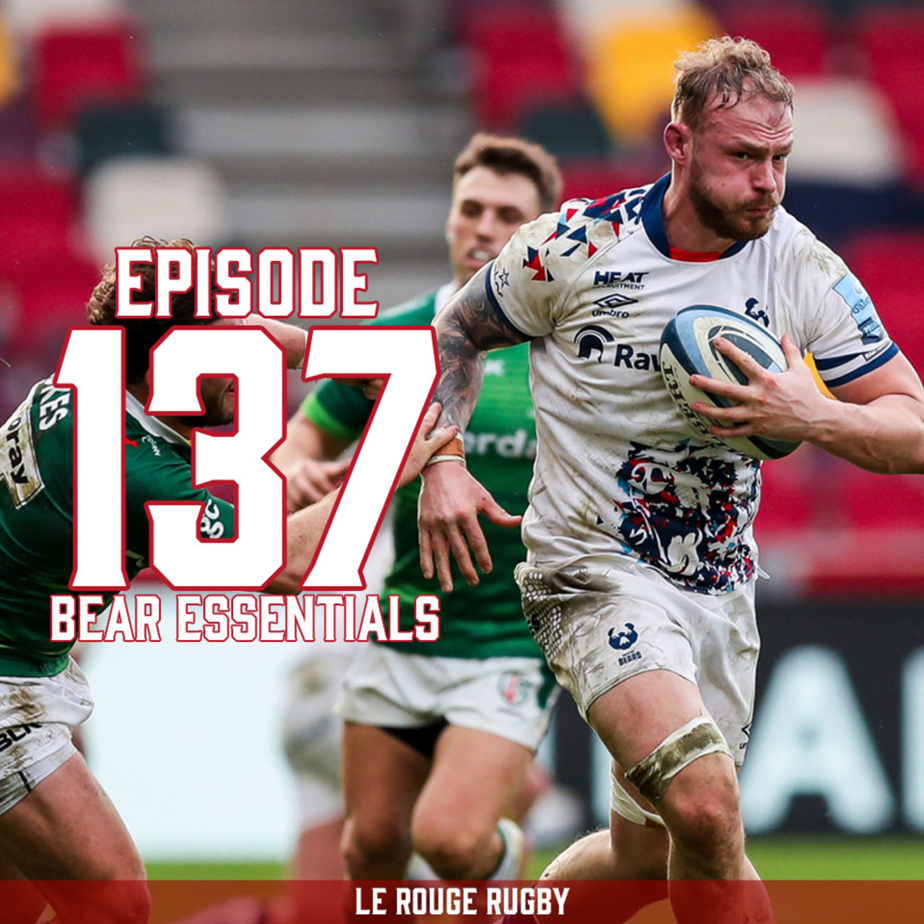 Episode 137: Bear Essentials