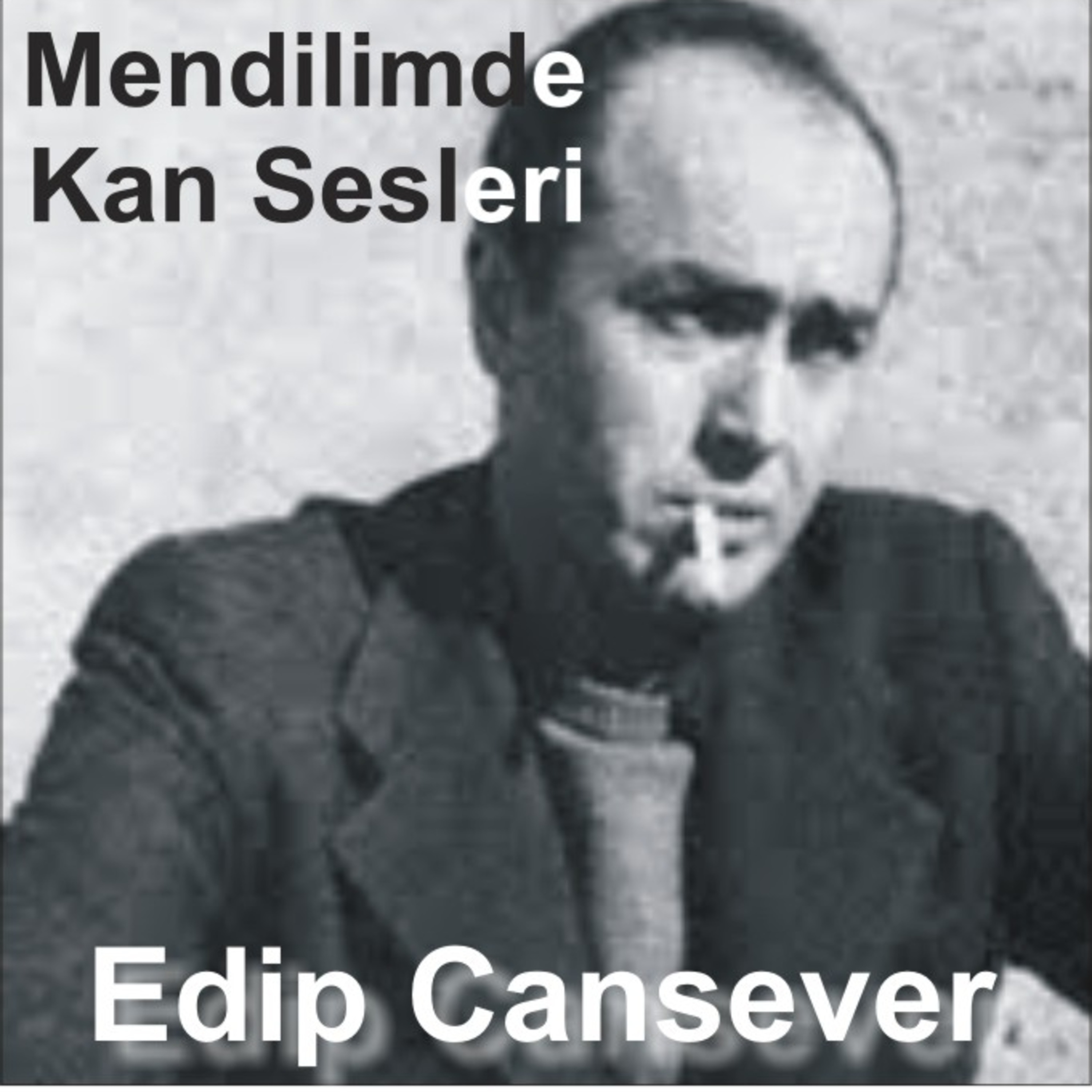 Edip Cansever - Mendilimde Kan Sesleri - (Ses. Murat Kurt) episode artwork