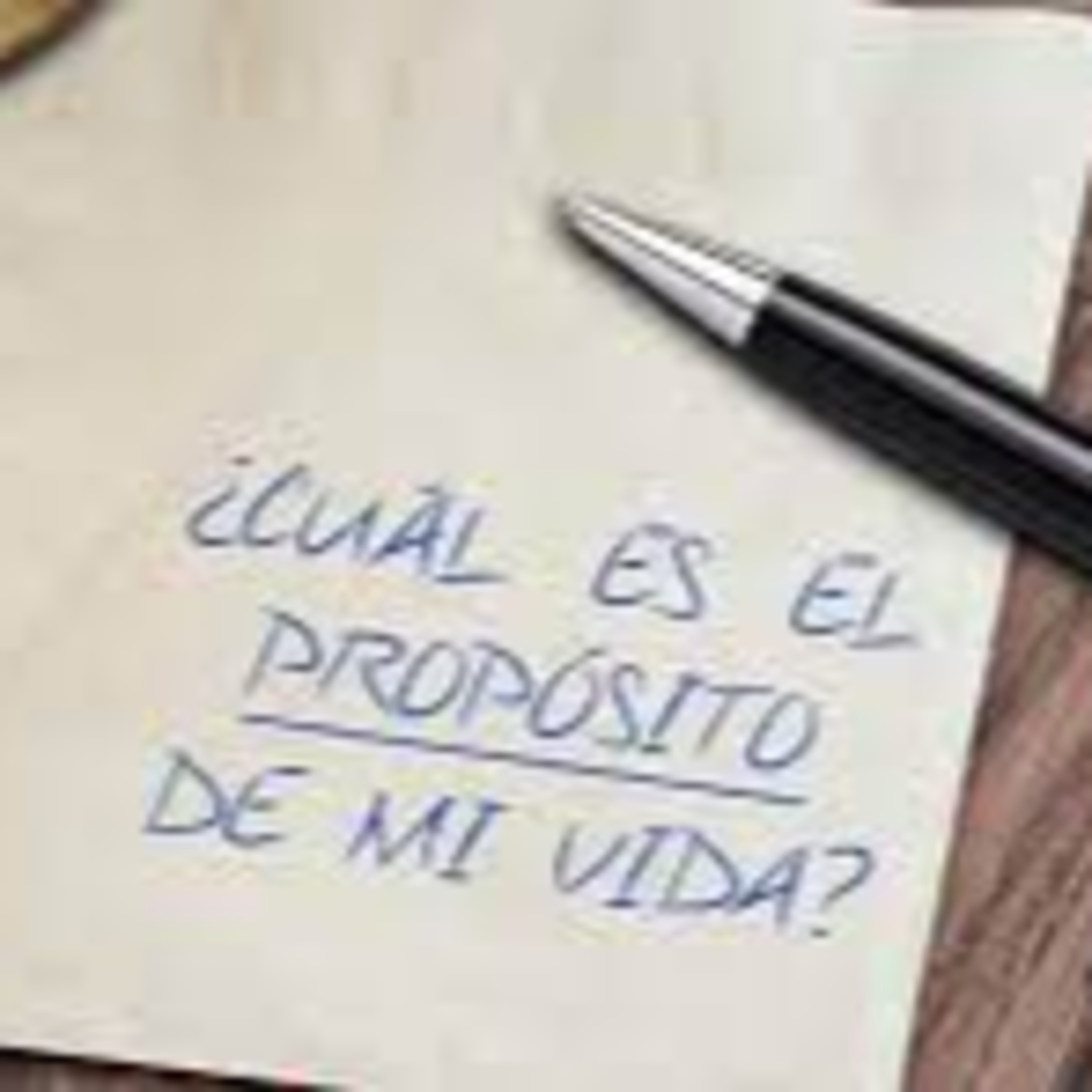 Grandes Miradas