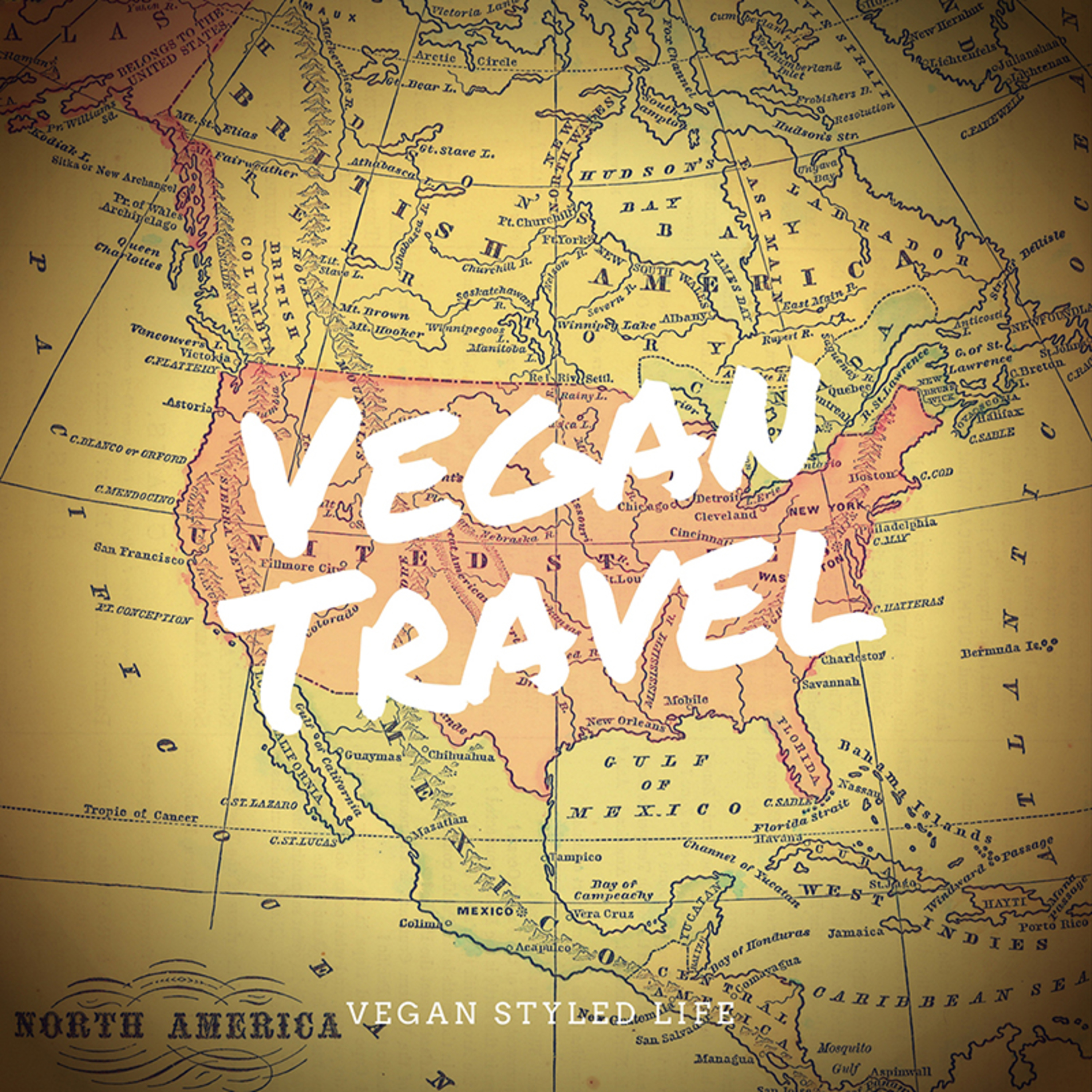 Vegan Travel
