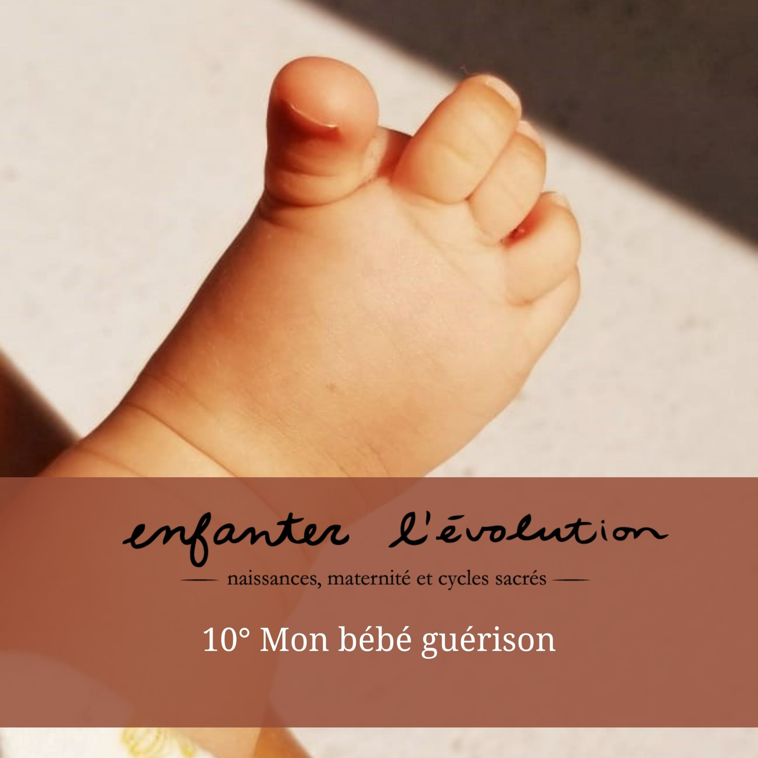 Enfanter l\'évolution