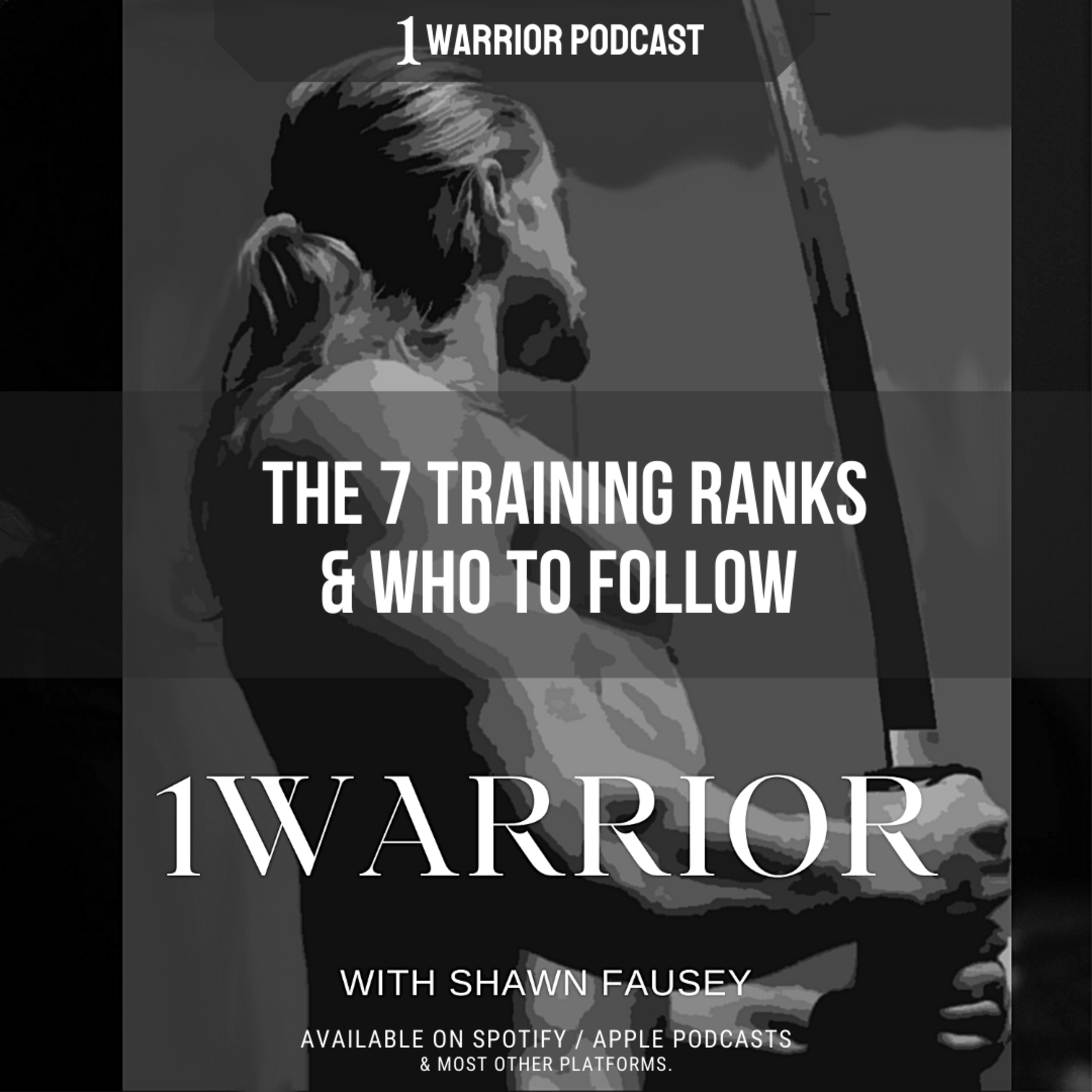 1Warrior