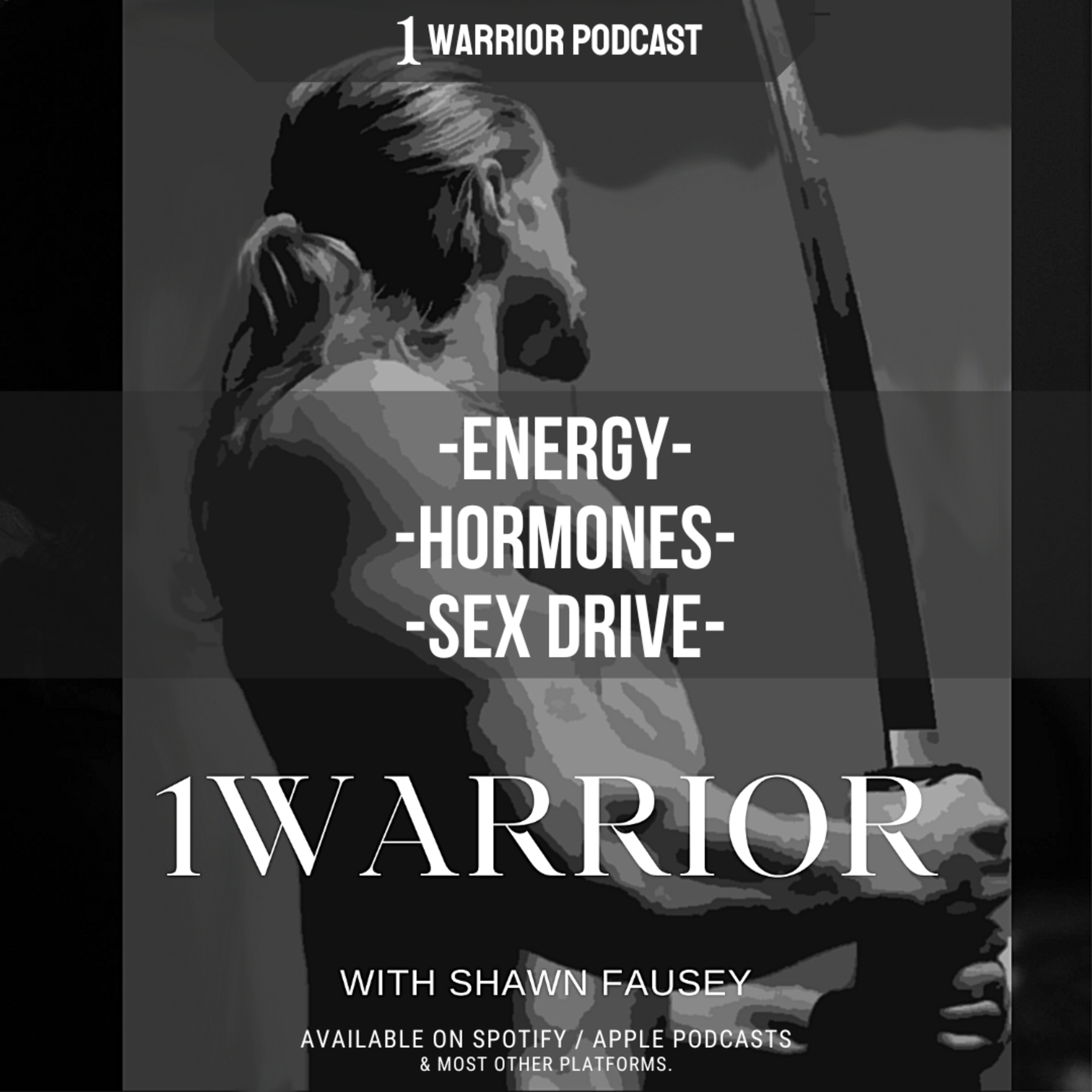 1Warrior