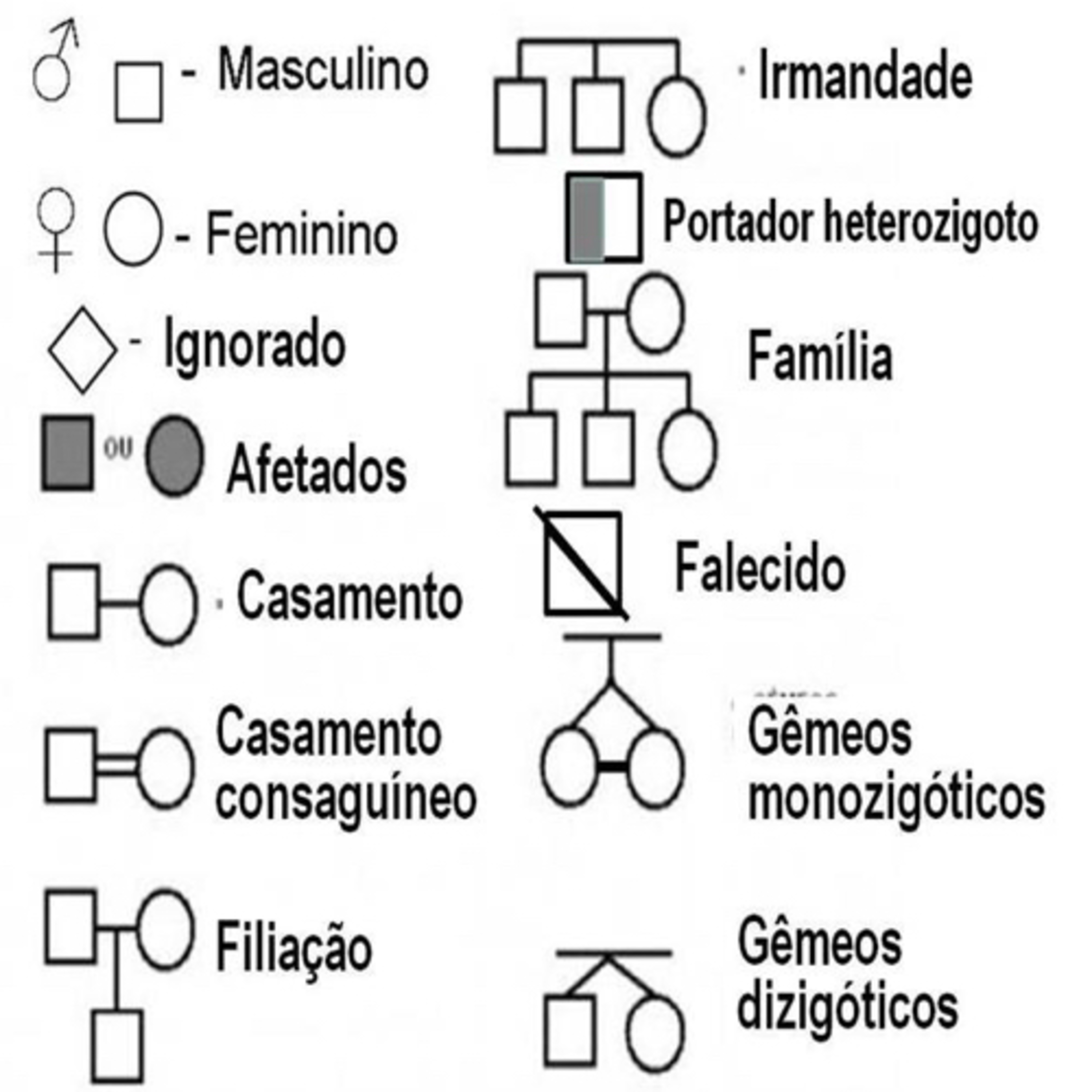 ENEM SEM FRESCURA
