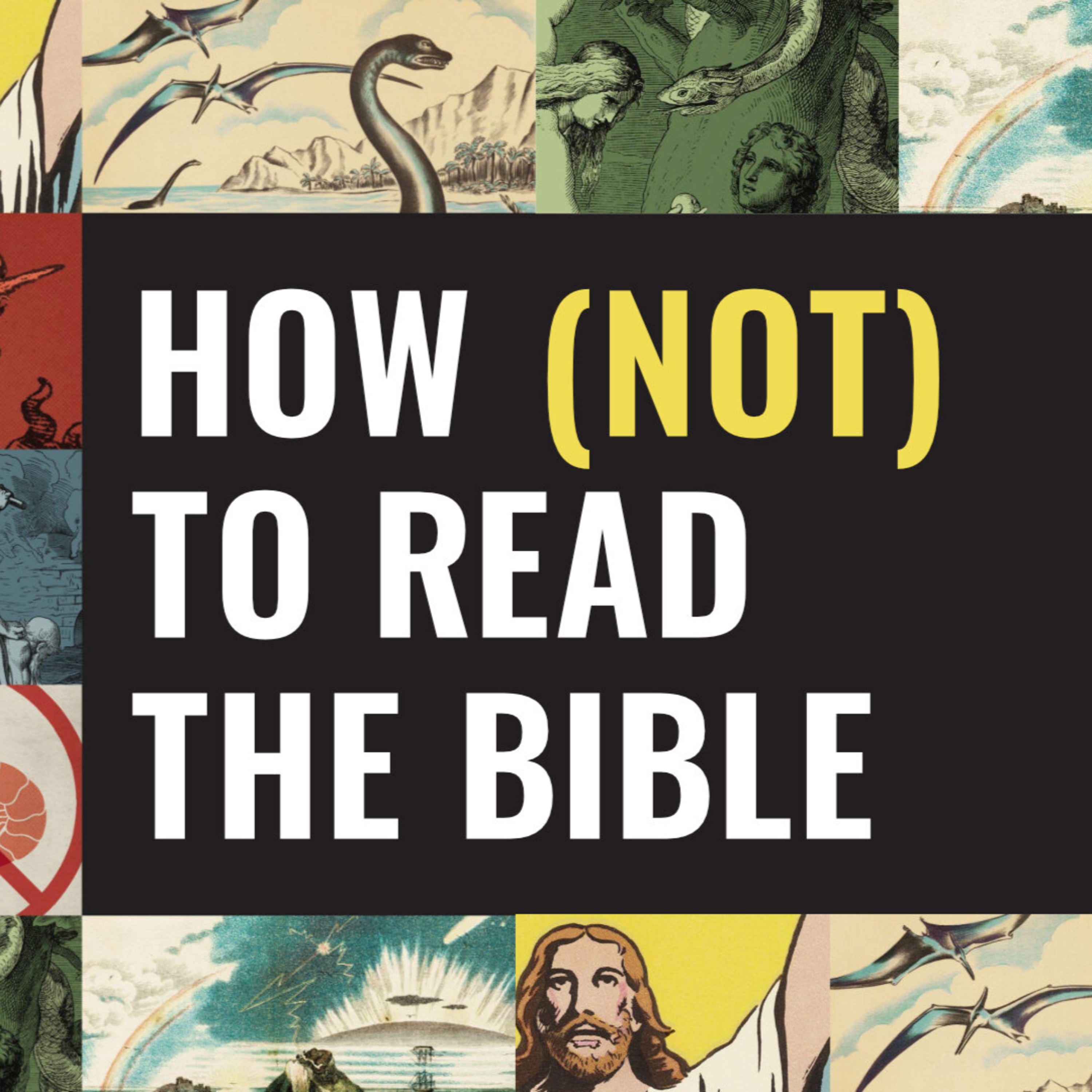 How (Not) to Read the Bible | Never Read a Bible Verse episode artwork