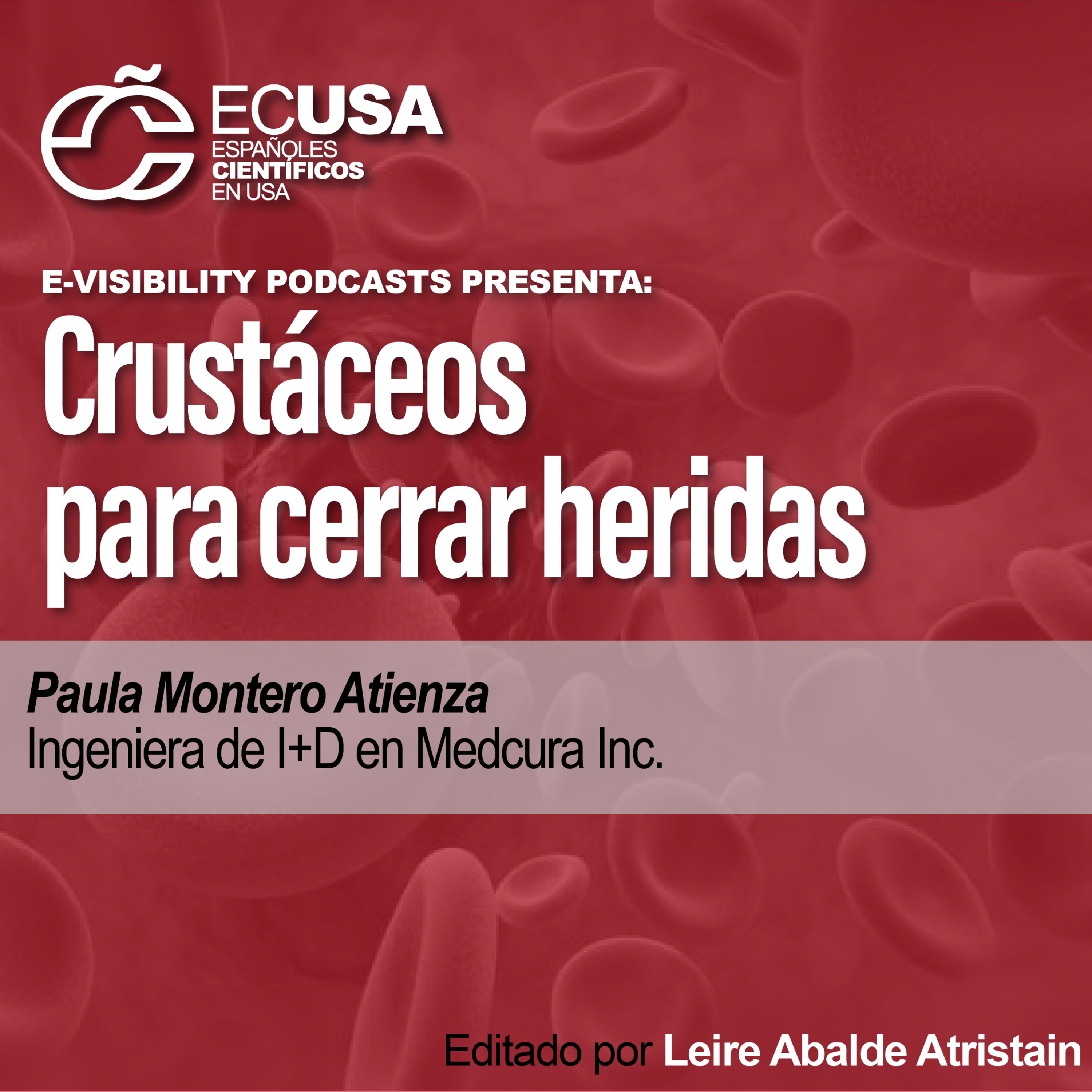 ECUSA Podcasts