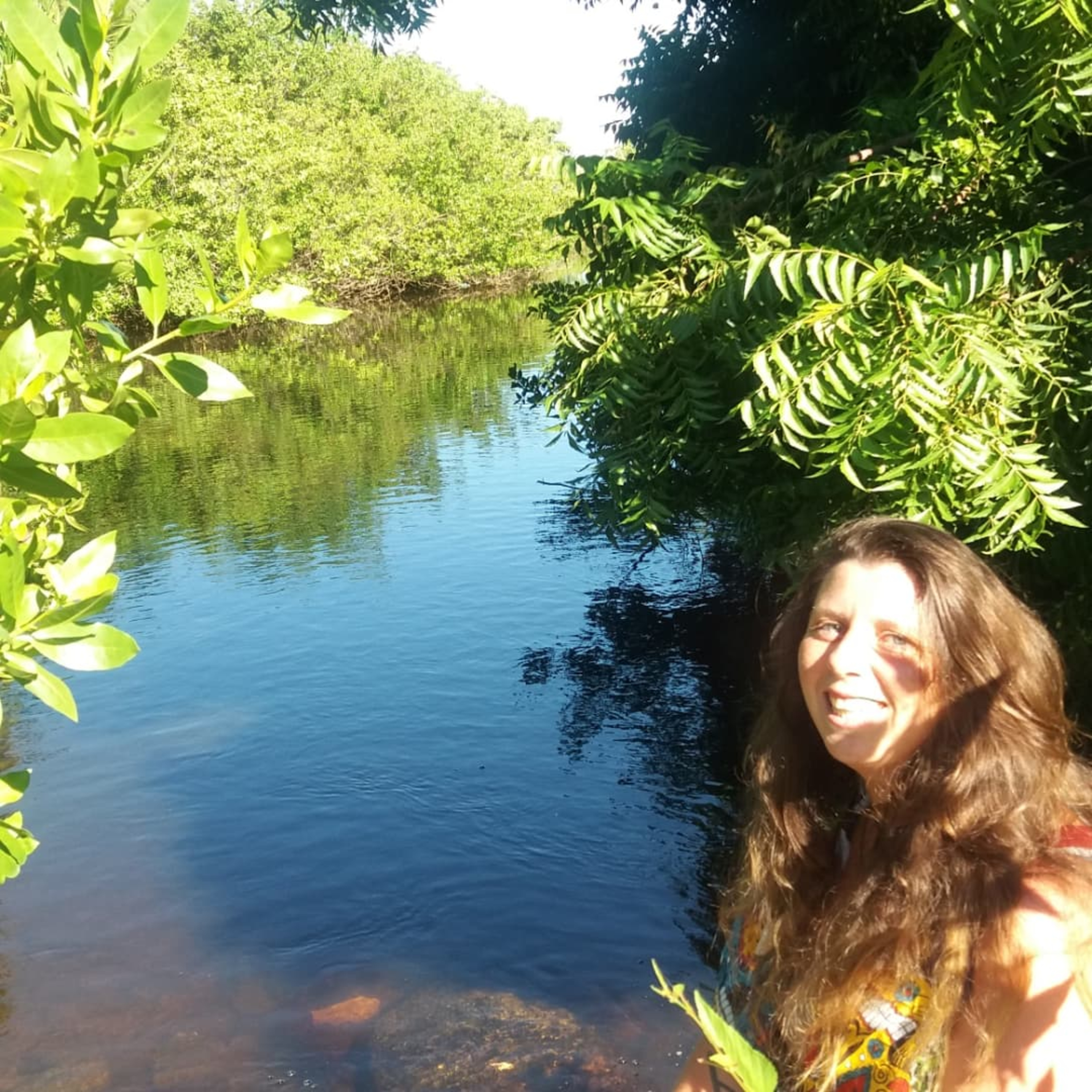 Agroecologia e Lives  episode artwork