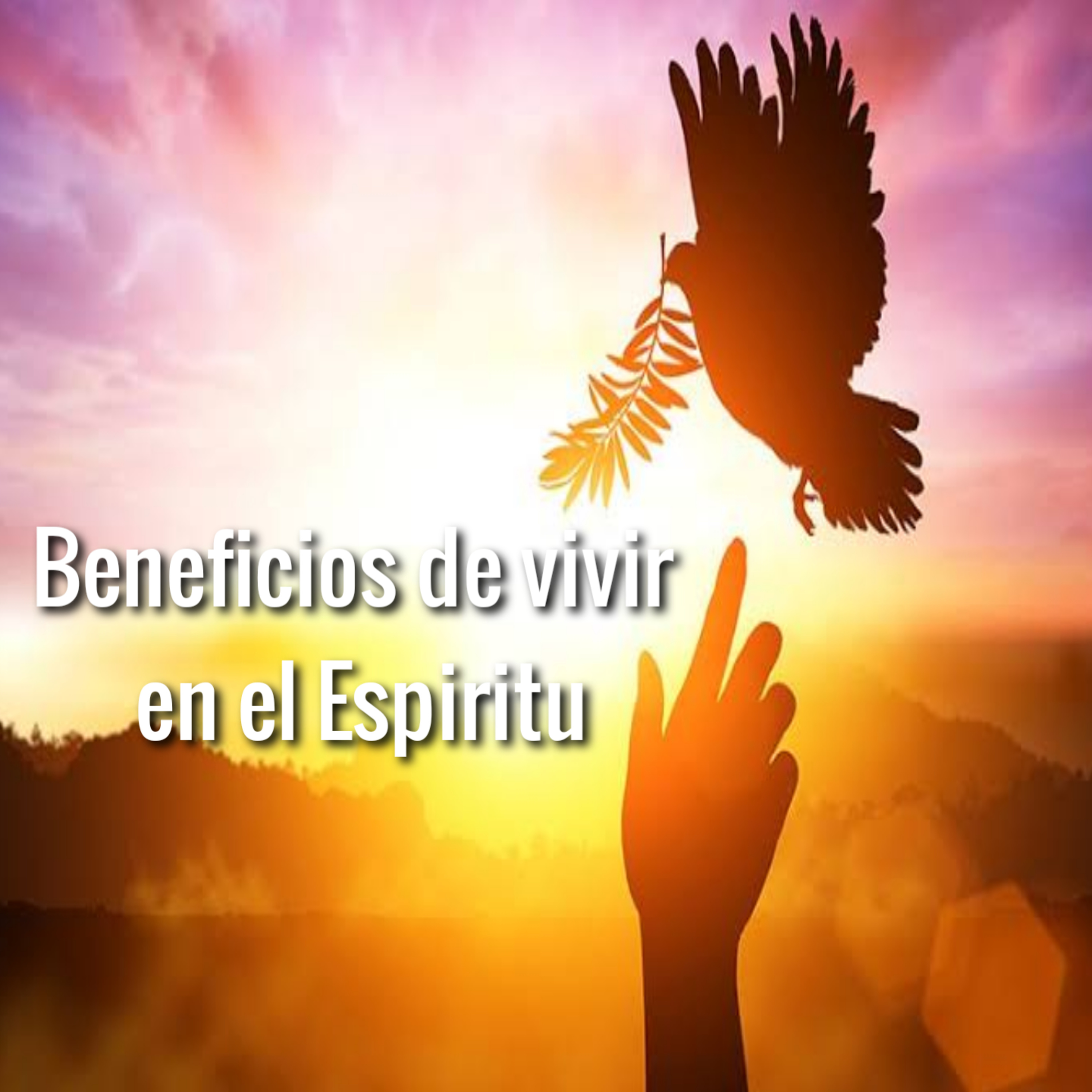 Evangelio que Salva