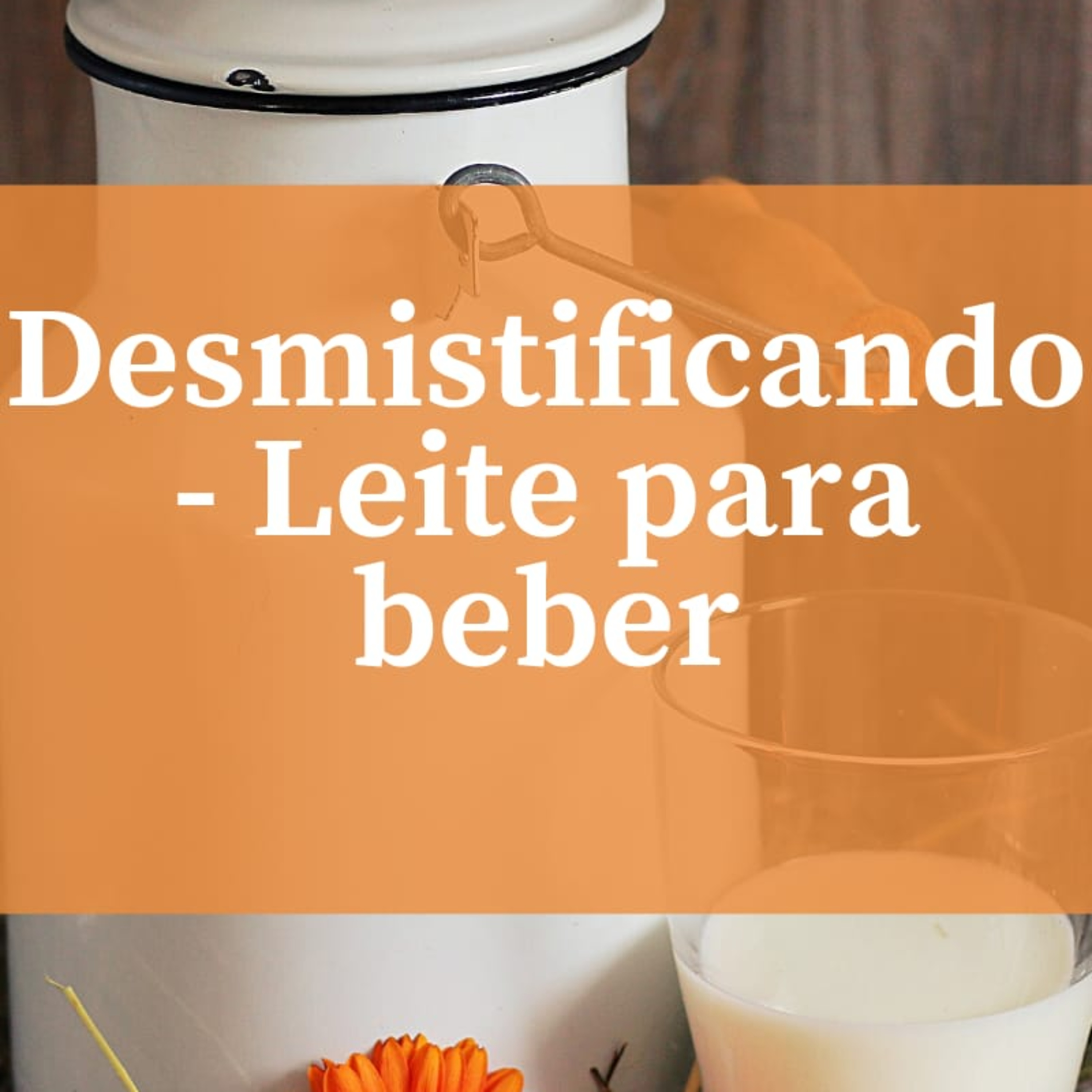 Fome de conhecimentos