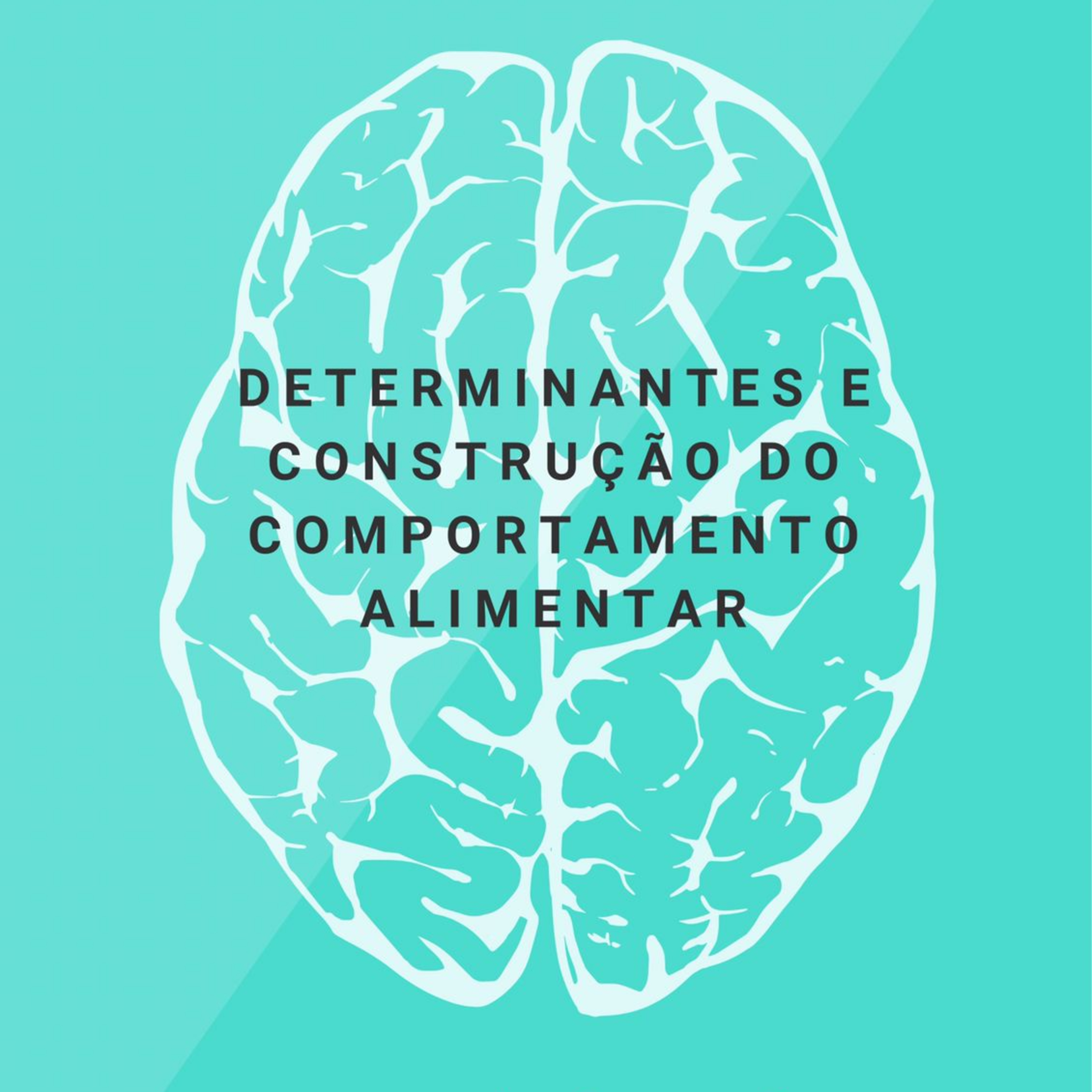 Fome de conhecimentos