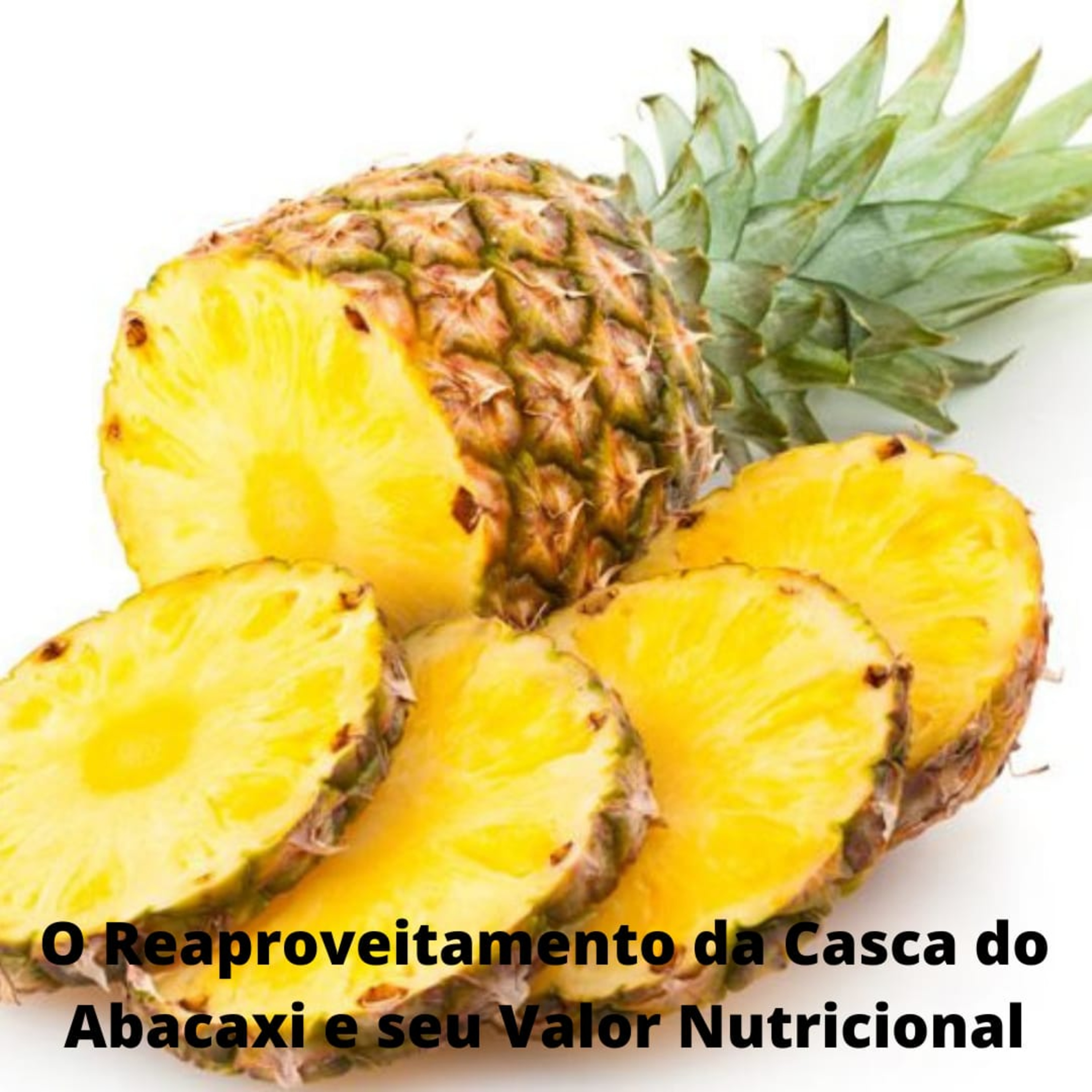 Fome de conhecimentos