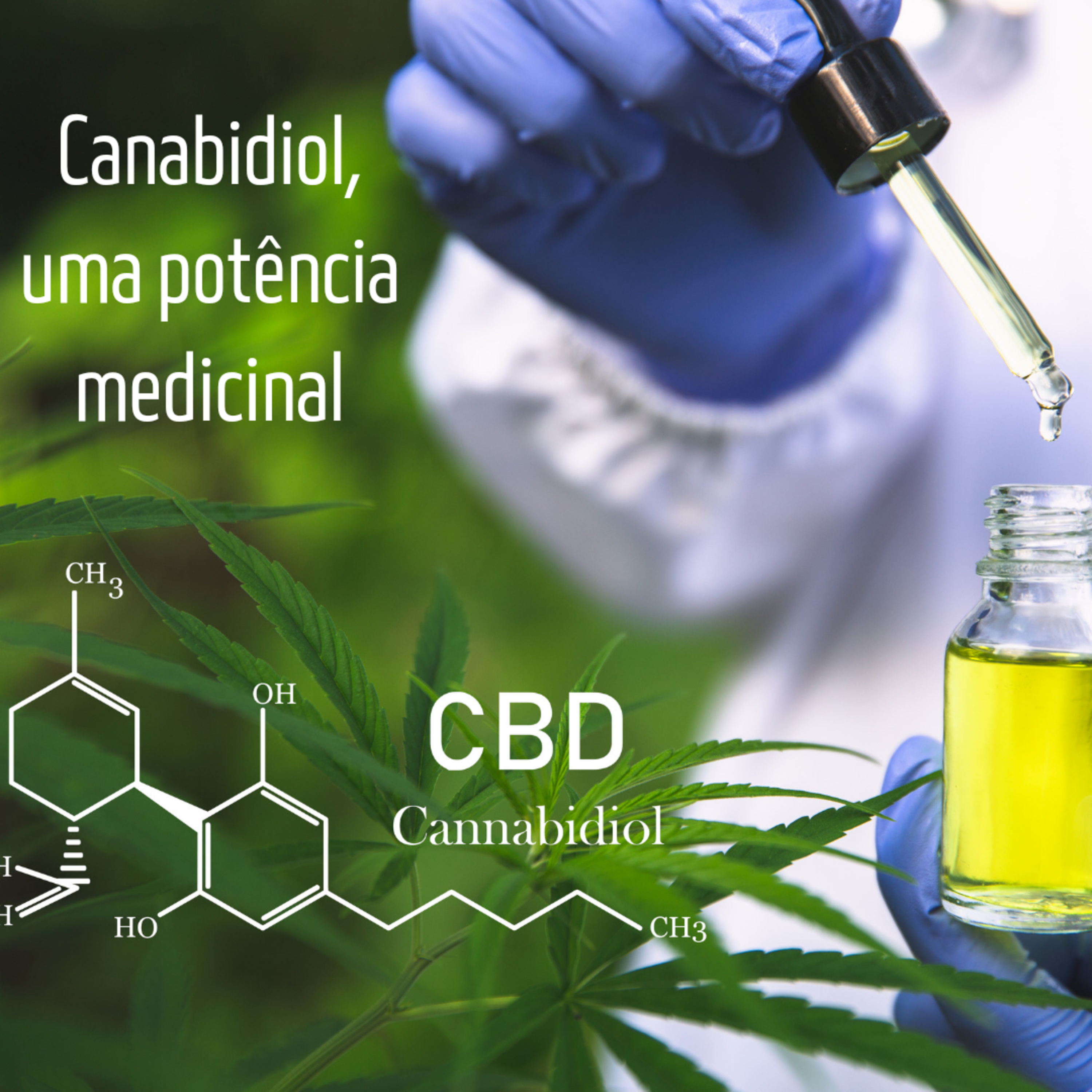Política internacional para apressados