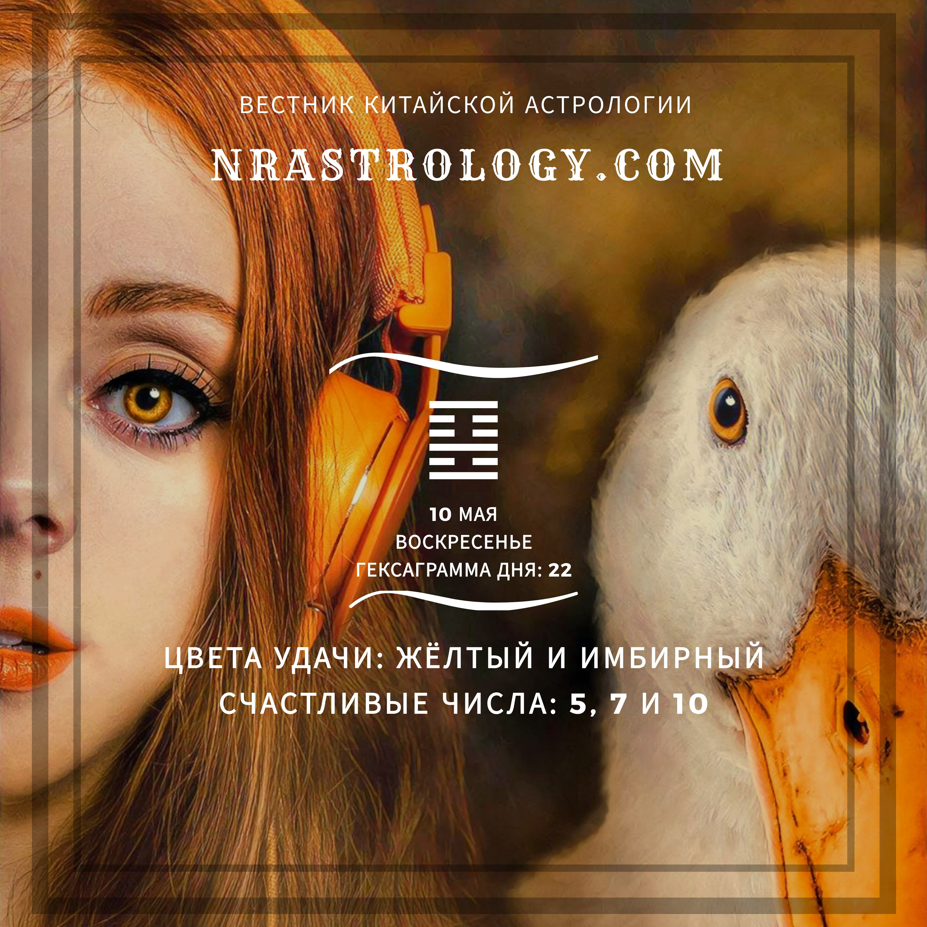 Вестник китайской астрологии 100520 episode artwork