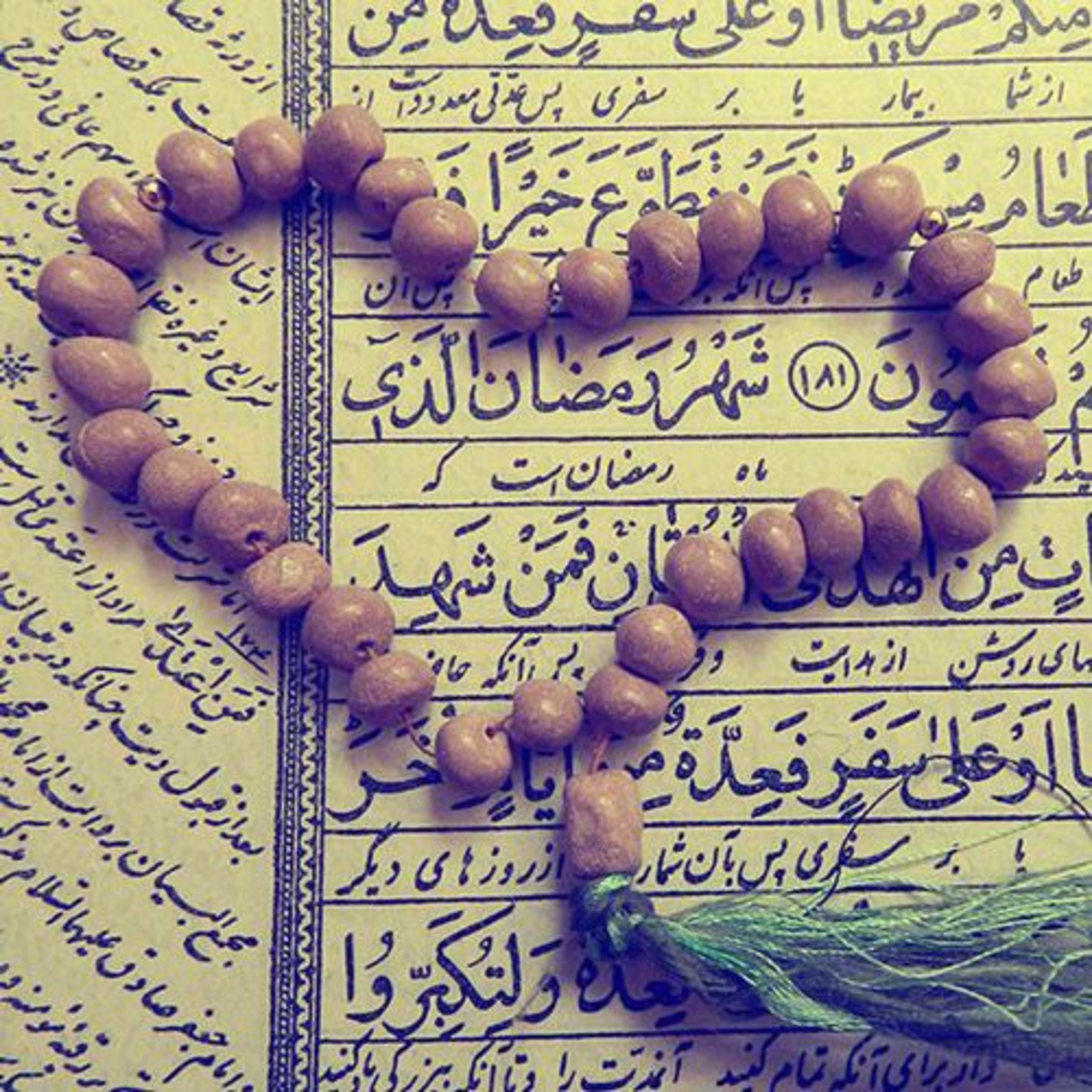 کاور ضیافت نور