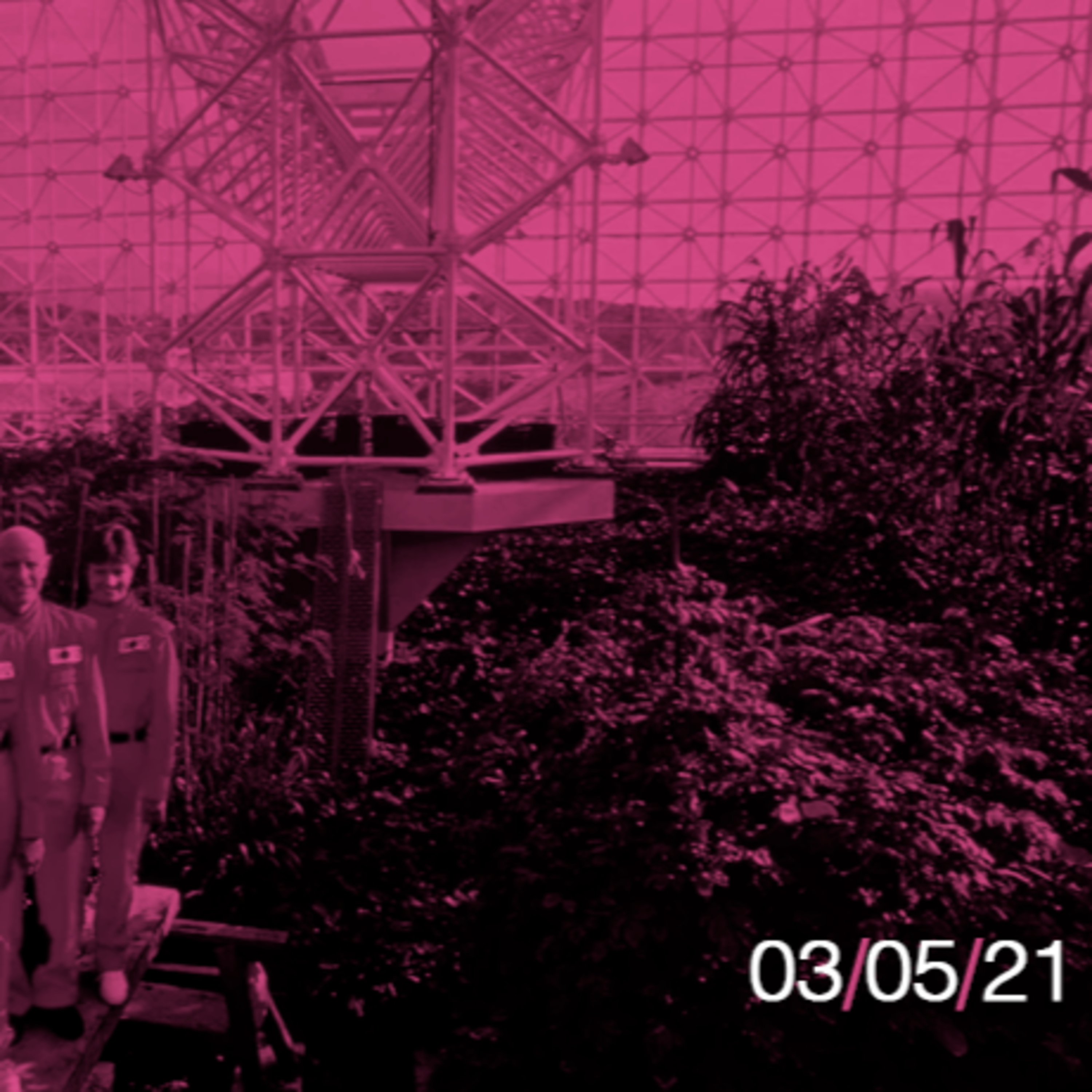 PinkMoon Radio