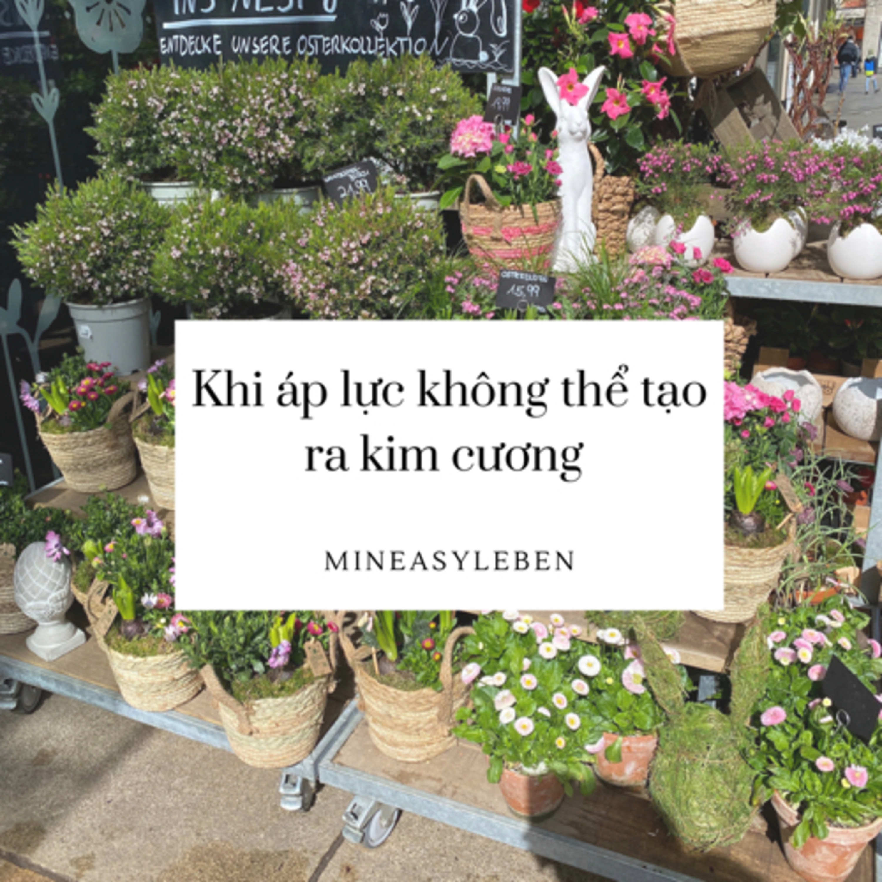Khi áp lực không thể tạo ra kim cương