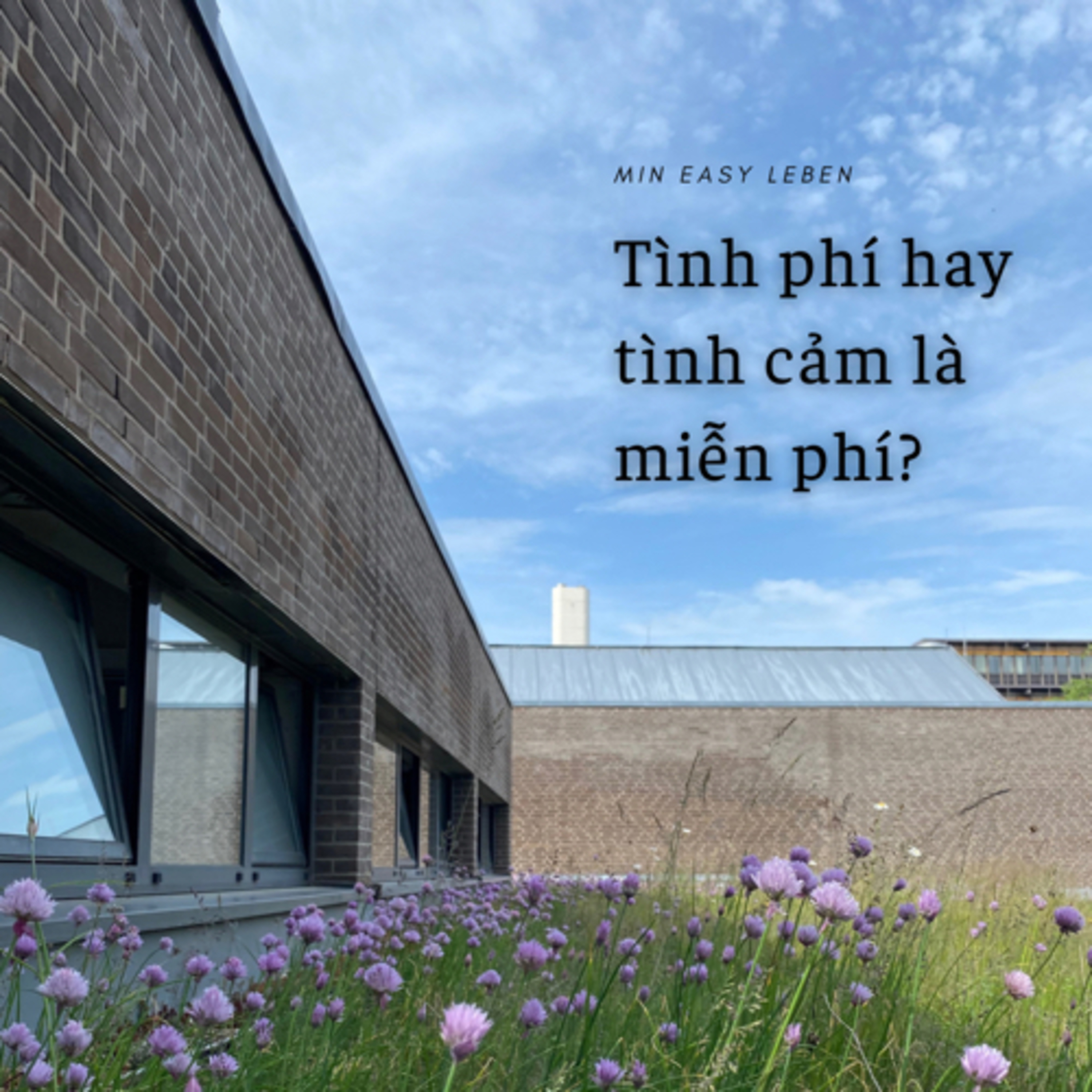 Tình phí hay tình cảm là miễn phí?