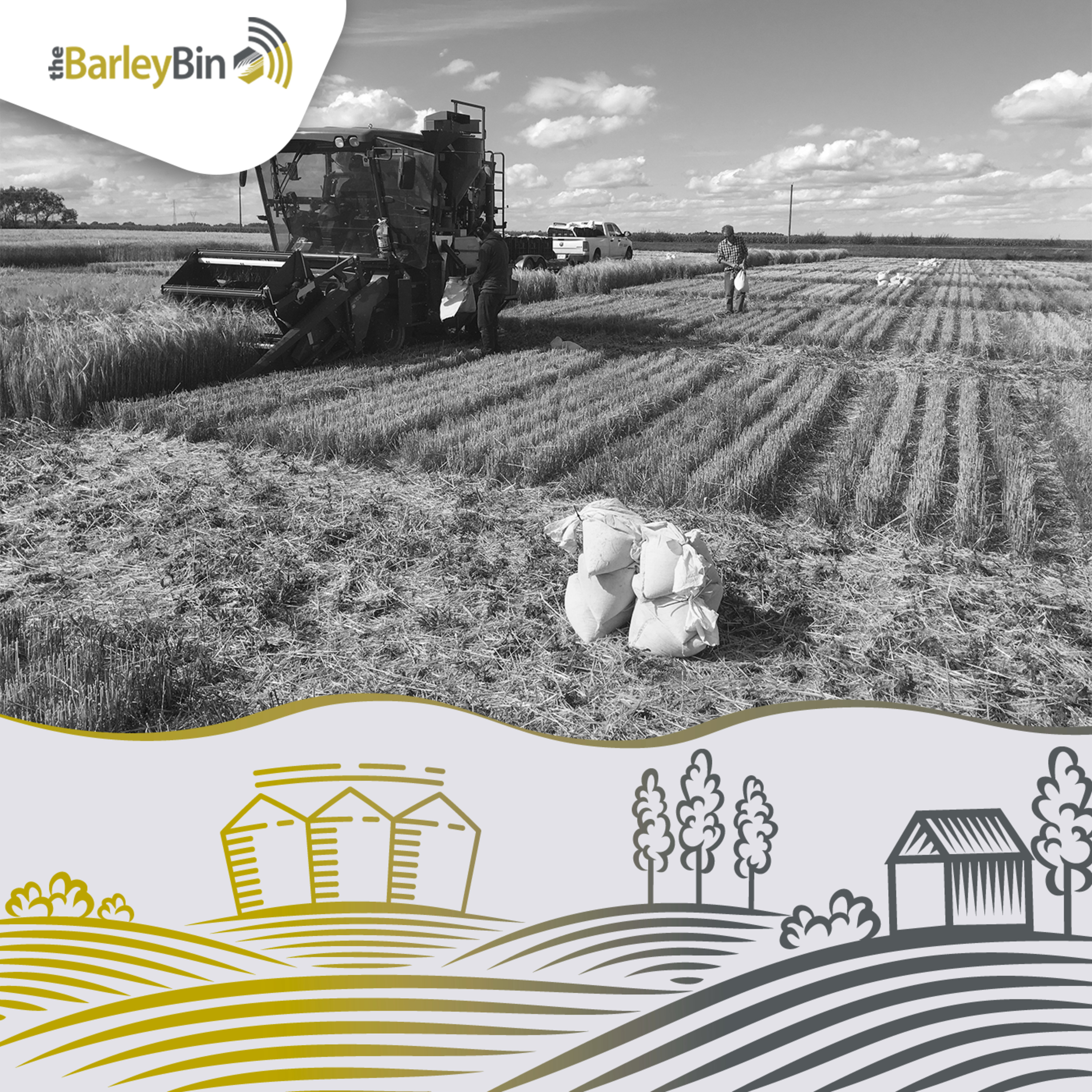 Bringing Better Barley to Western Canada – with Jim Anderson