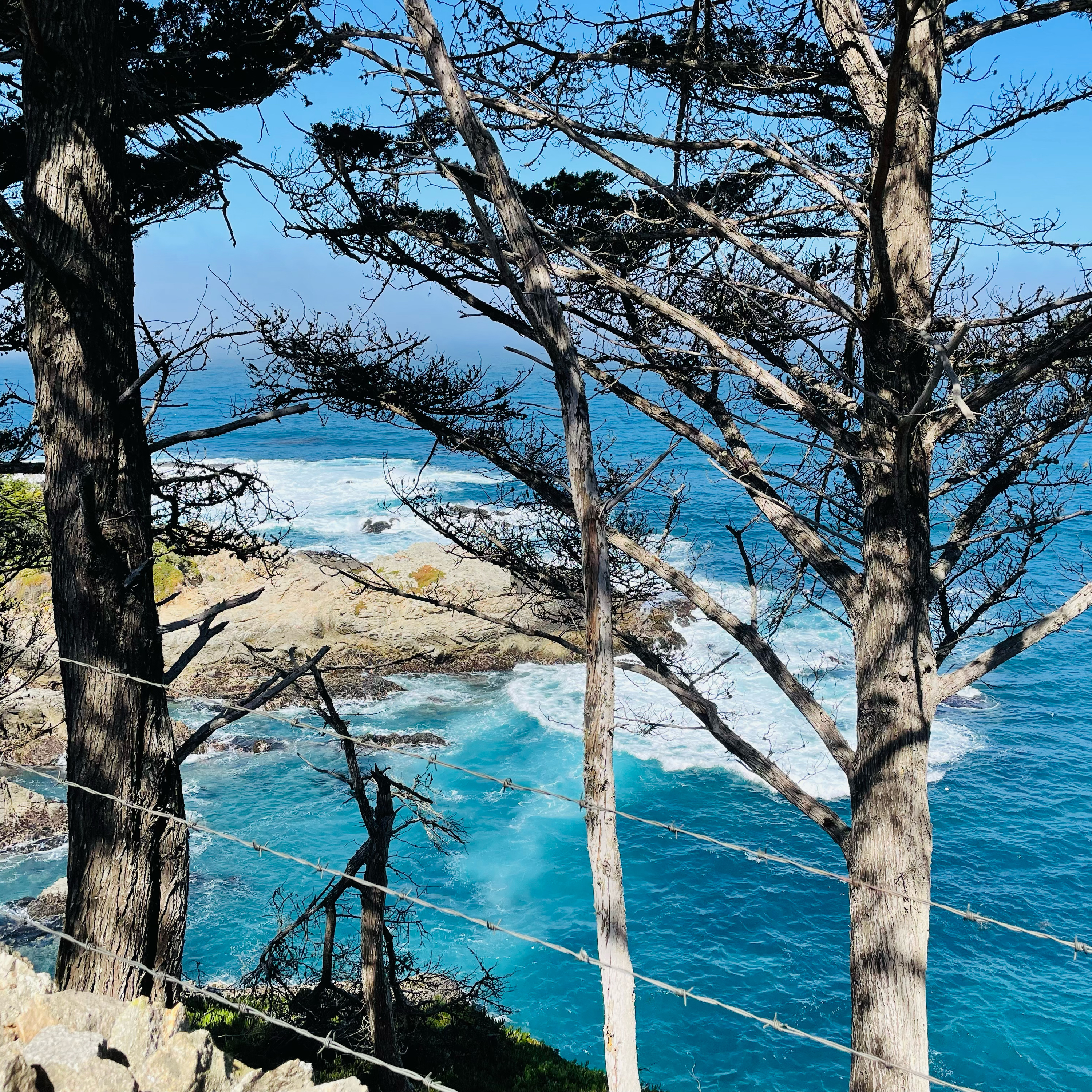 Snippets Of A Traveling Mind