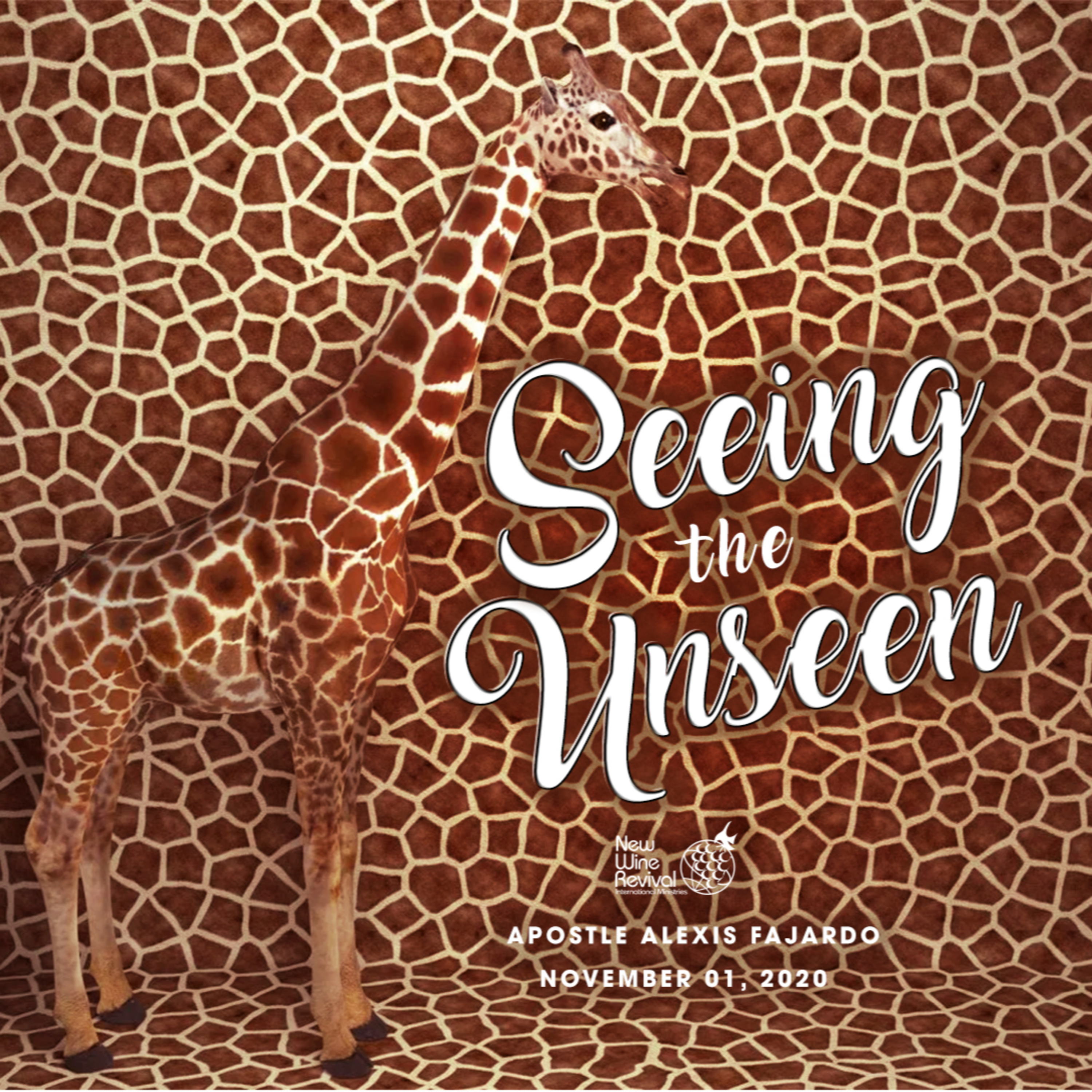 Seeing the Unseen episode artwork