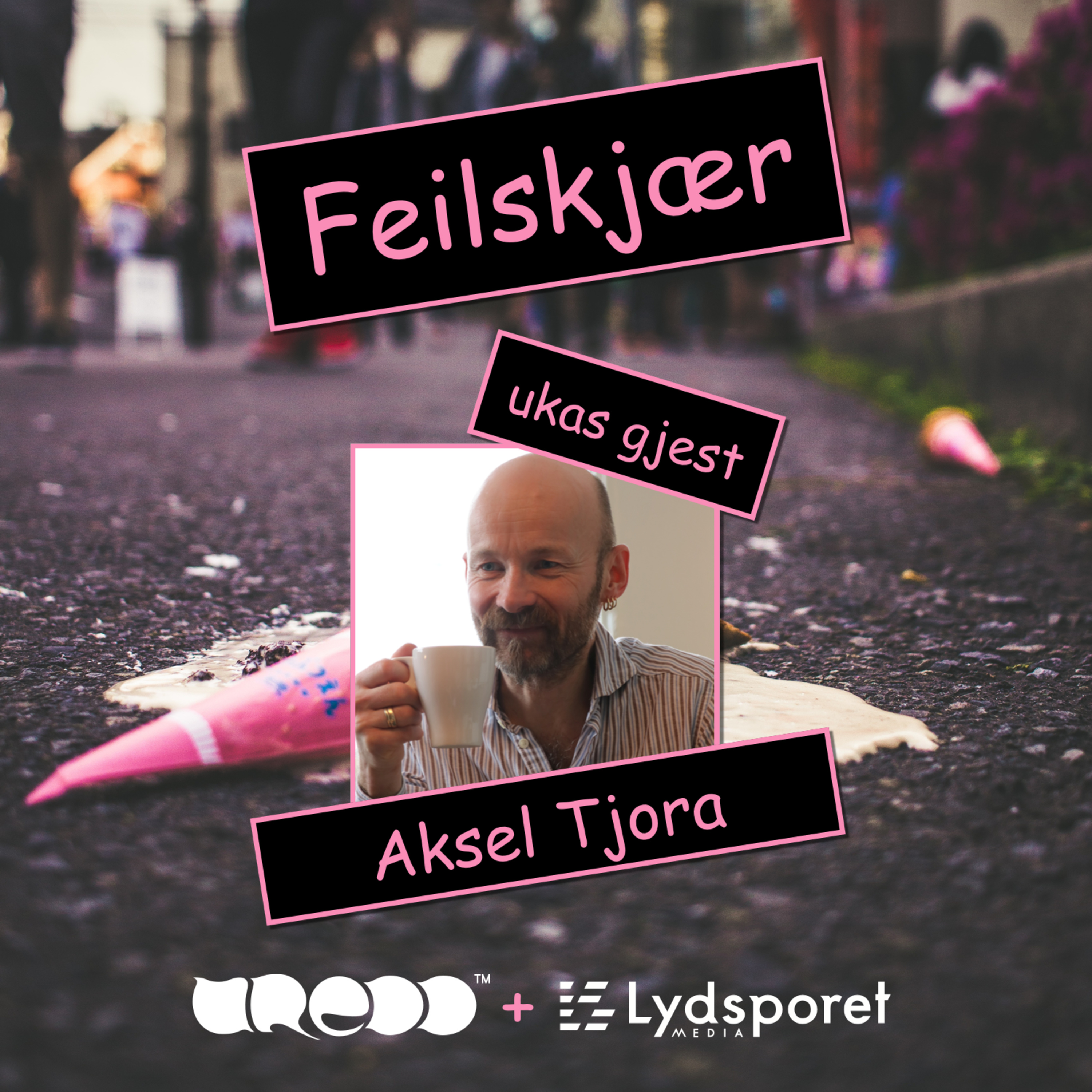 Feilskjær