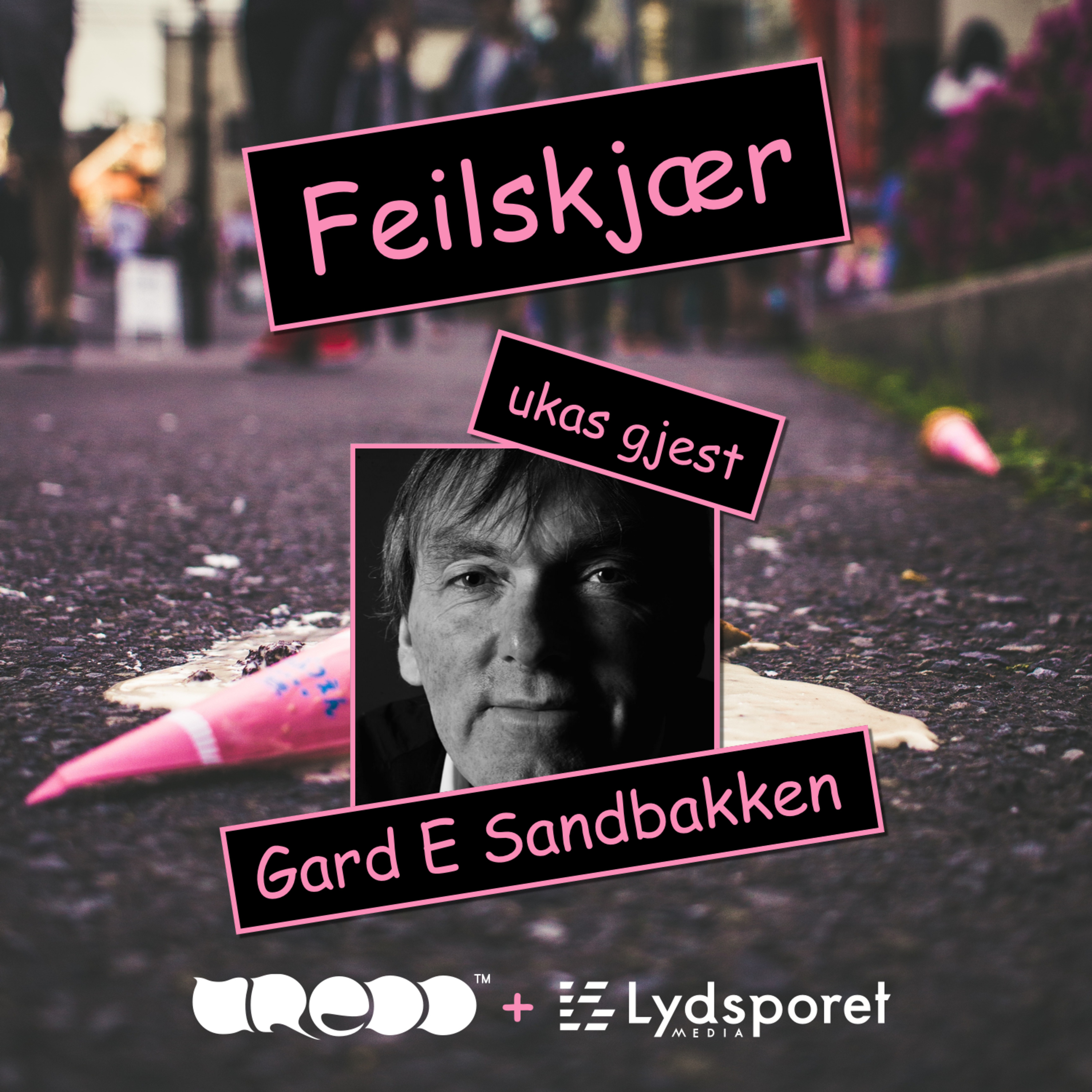 Feilskjær