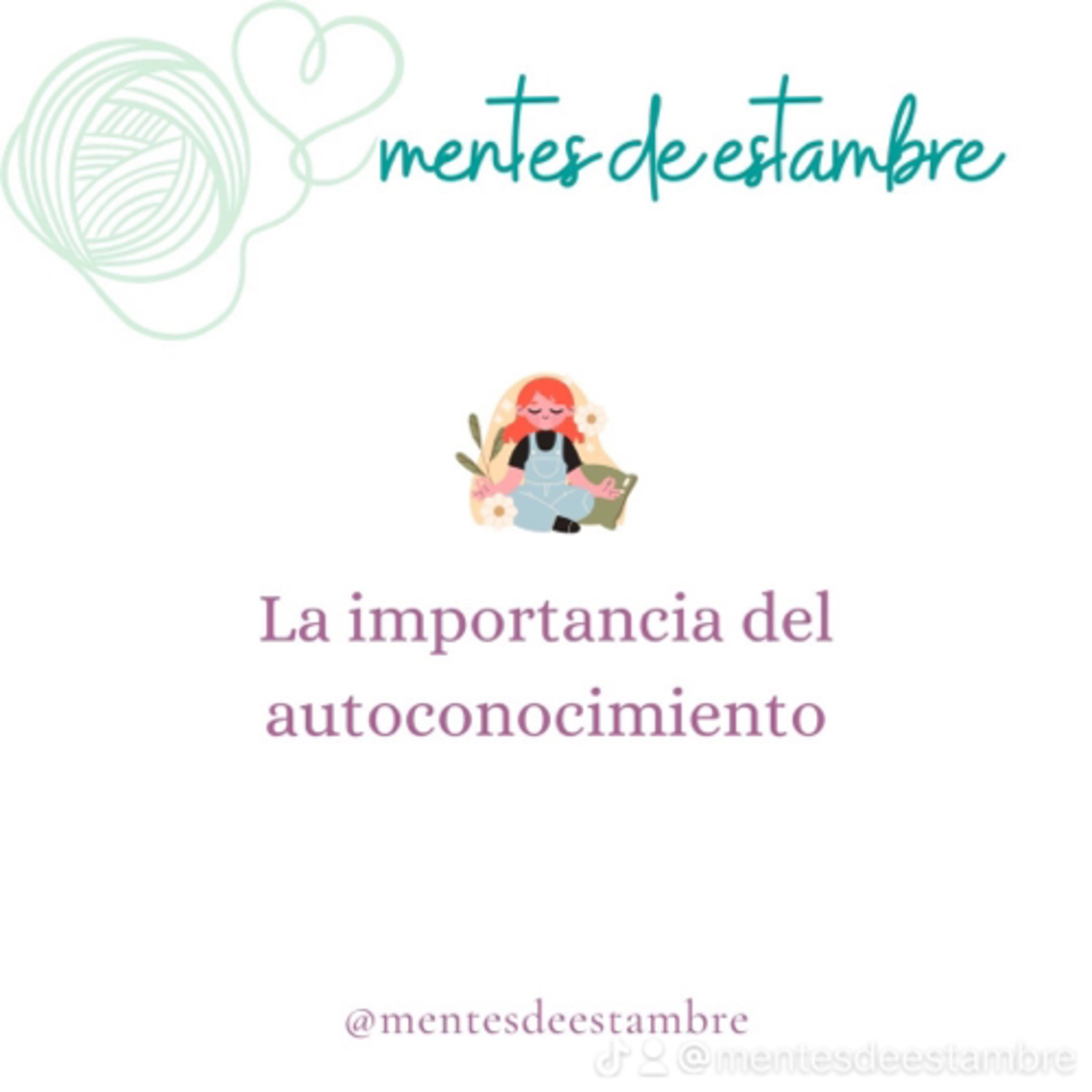 Portada de Mentes de estambre