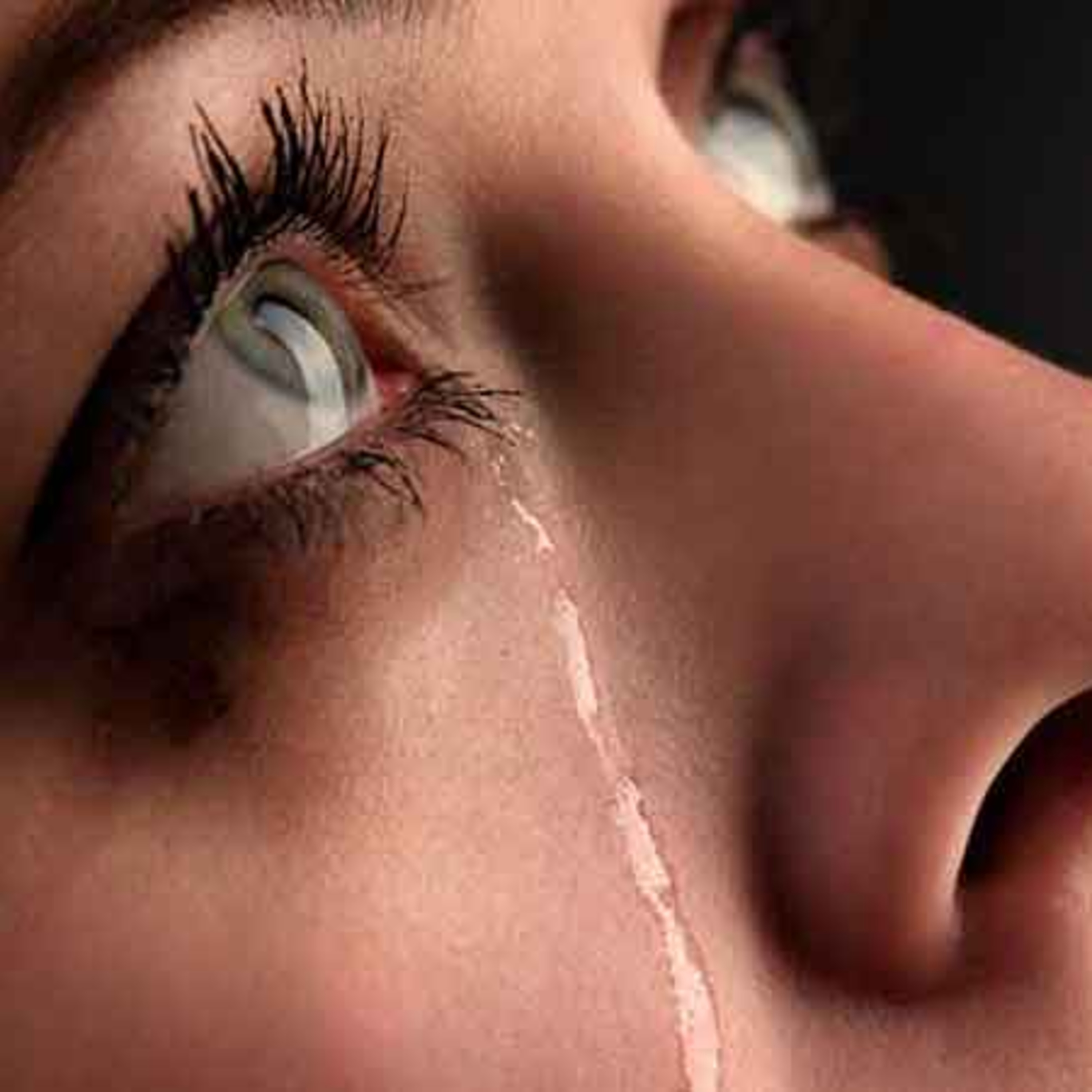 Impacto para la vida