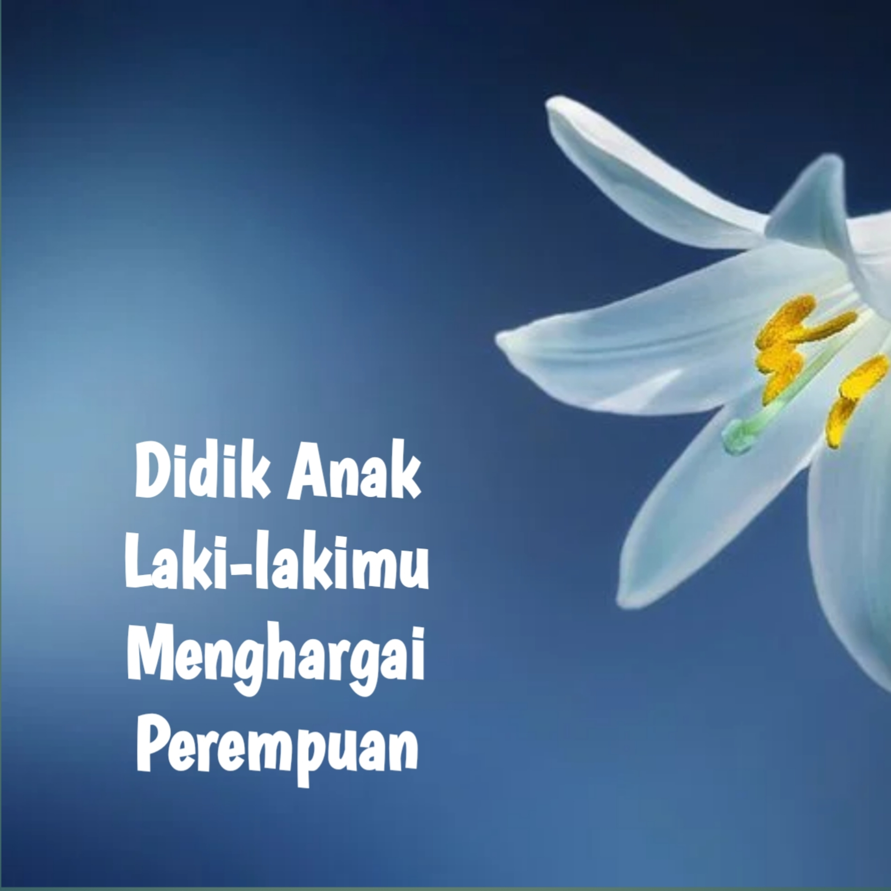 Didik Anak Lelaki Menghargai Perempuan
