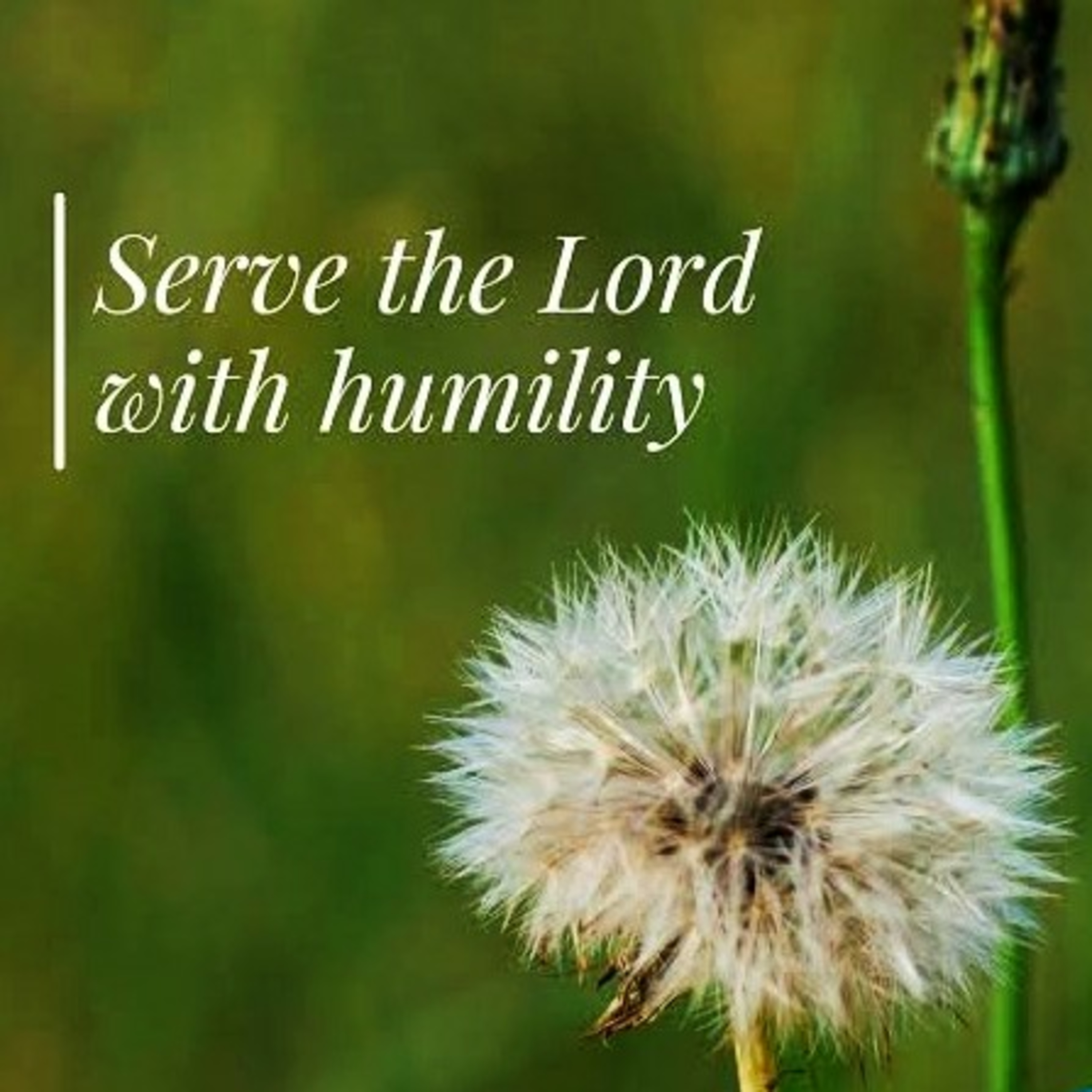 Serving The Lord episode artwork