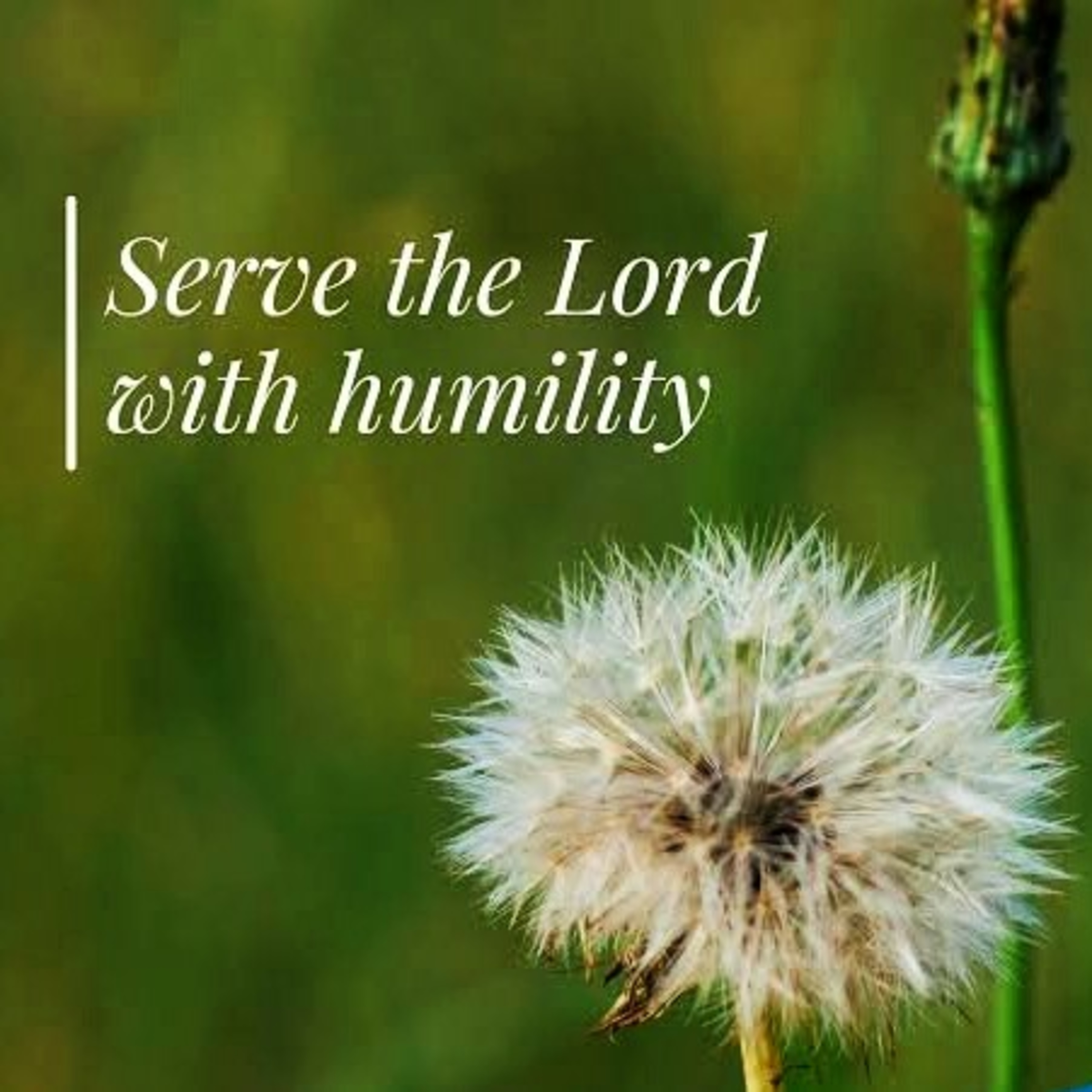 Serving The Lord With All Humility episode artwork
