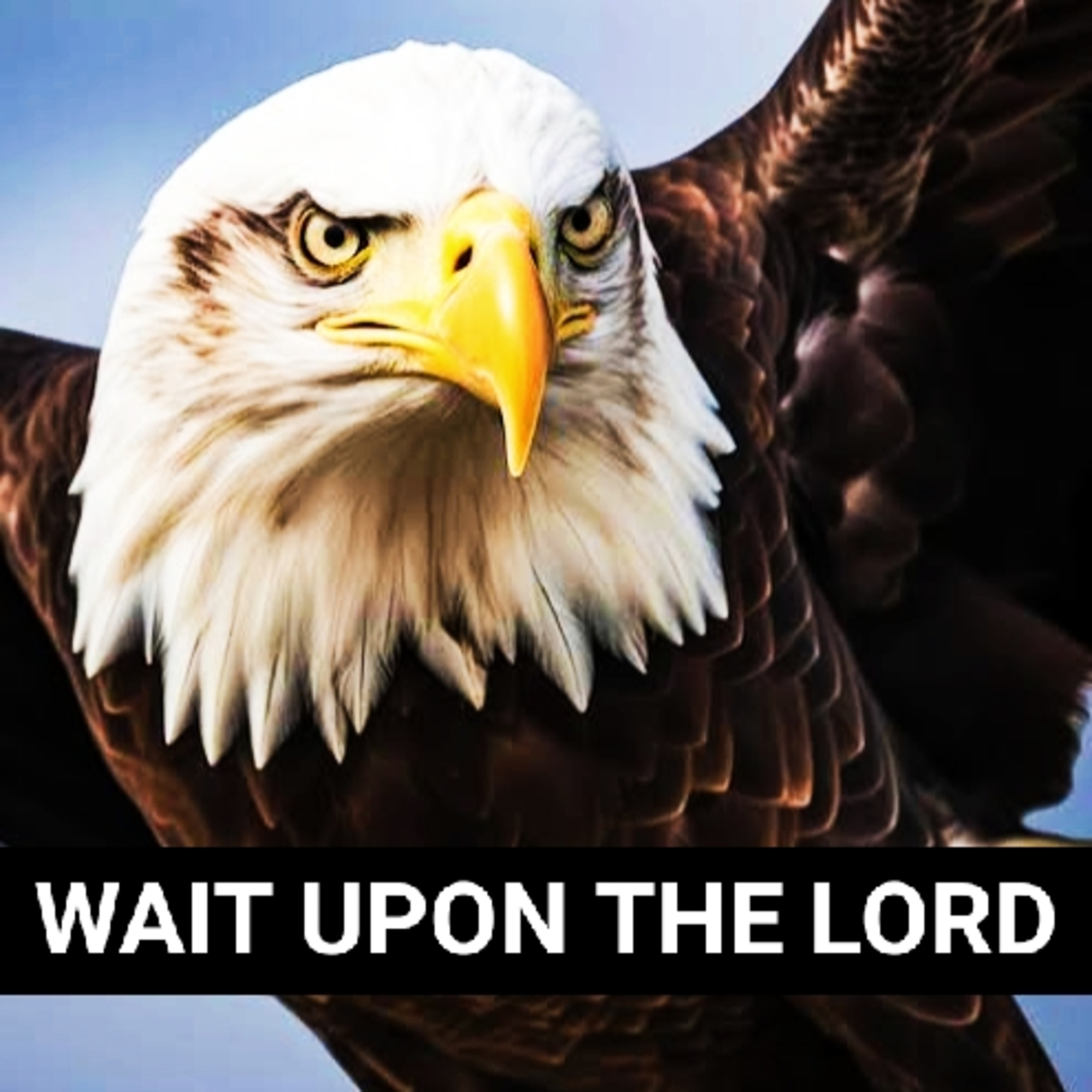 Wait Upon The Lord episode artwork