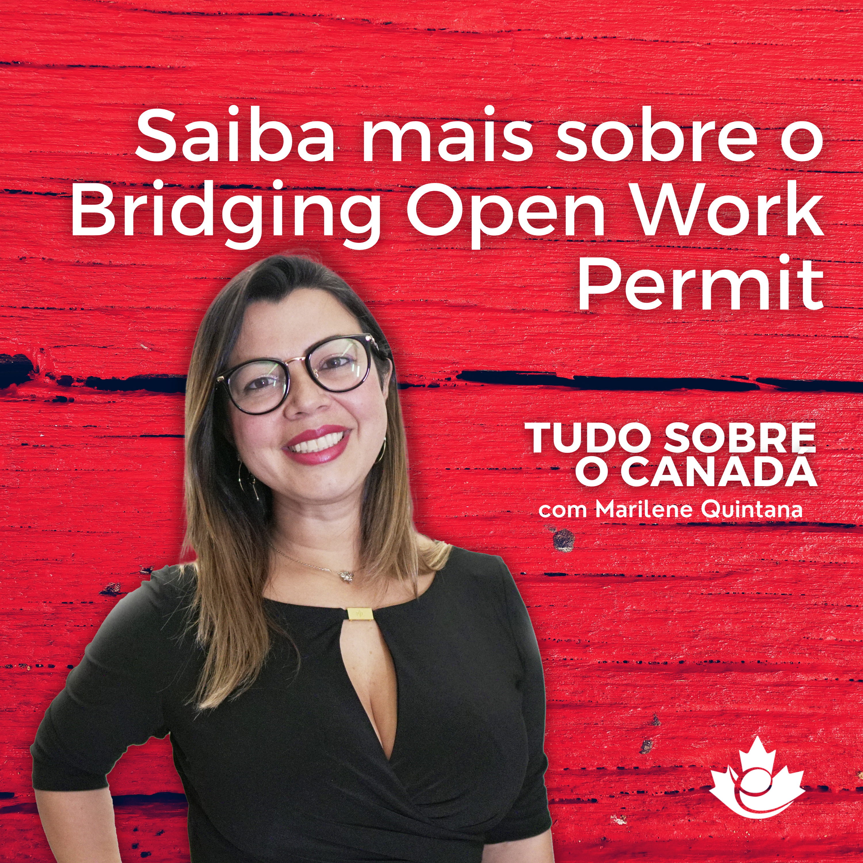S2:E3 - Bridging Open Work Permit - extensão da autorização de trabalho episode artwork