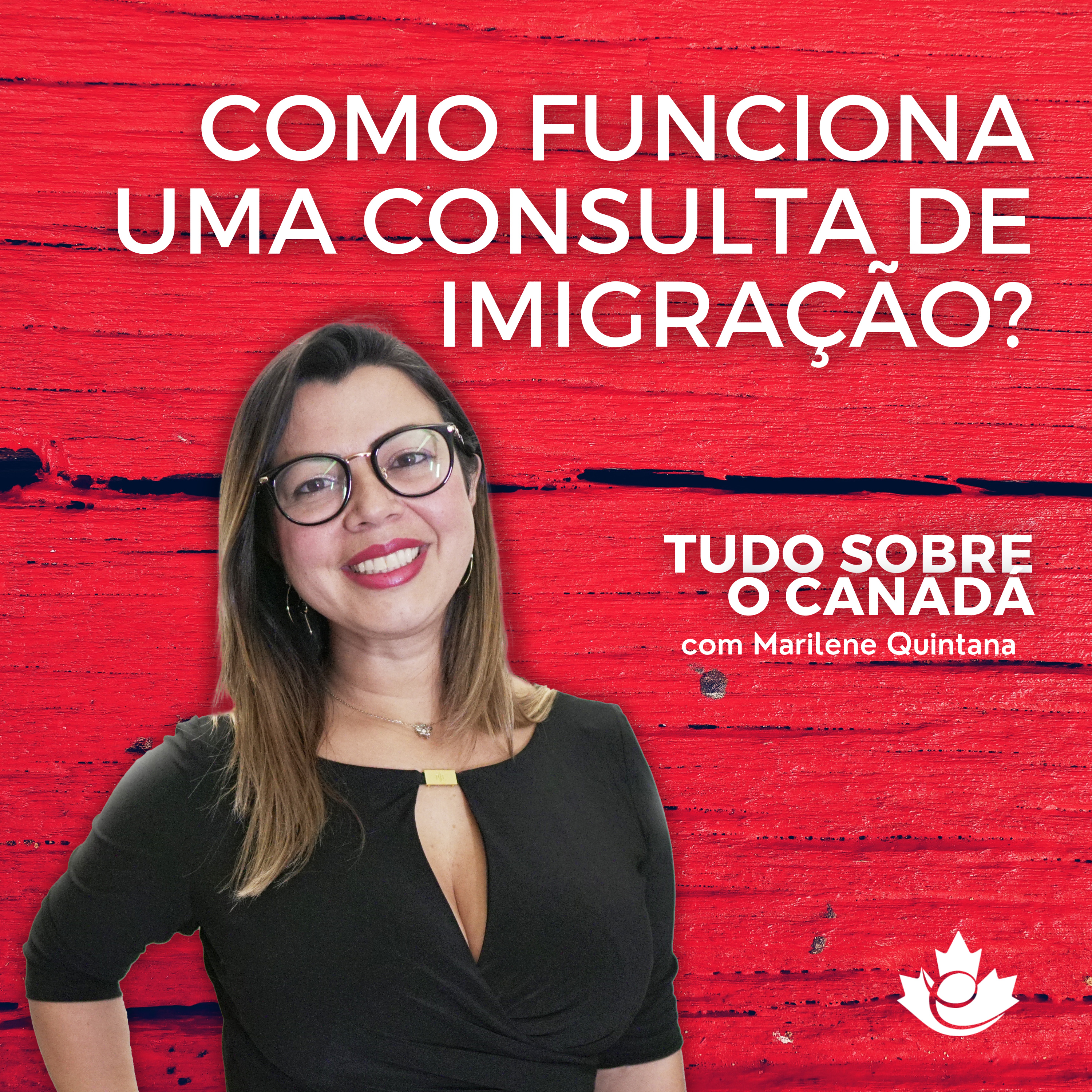 S2:E24 Como funciona uma consulta de imigração? episode artwork
