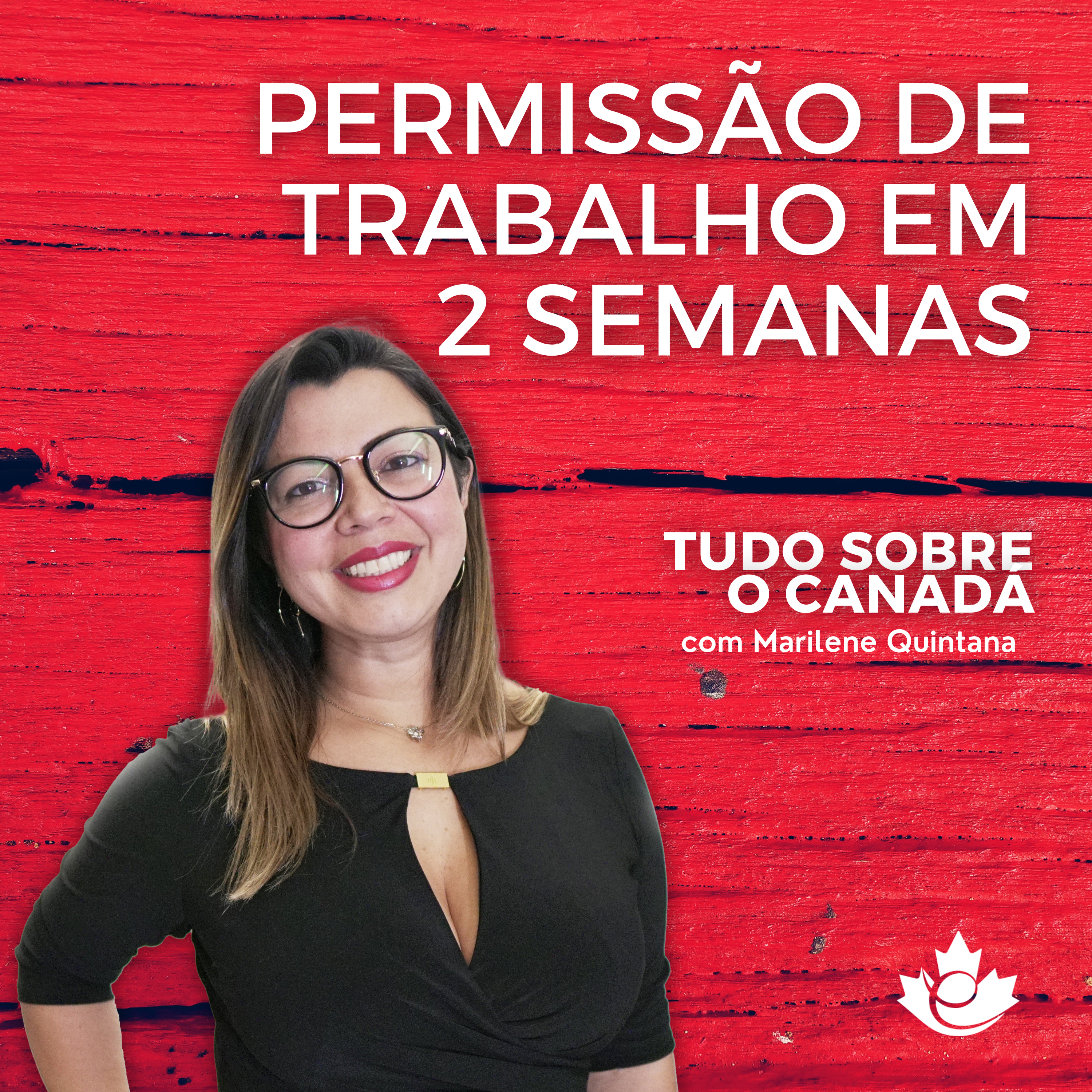 S2:E37 Global Skill Strategy: Processo de permissão de trabalho em 2 semanas! episode artwork