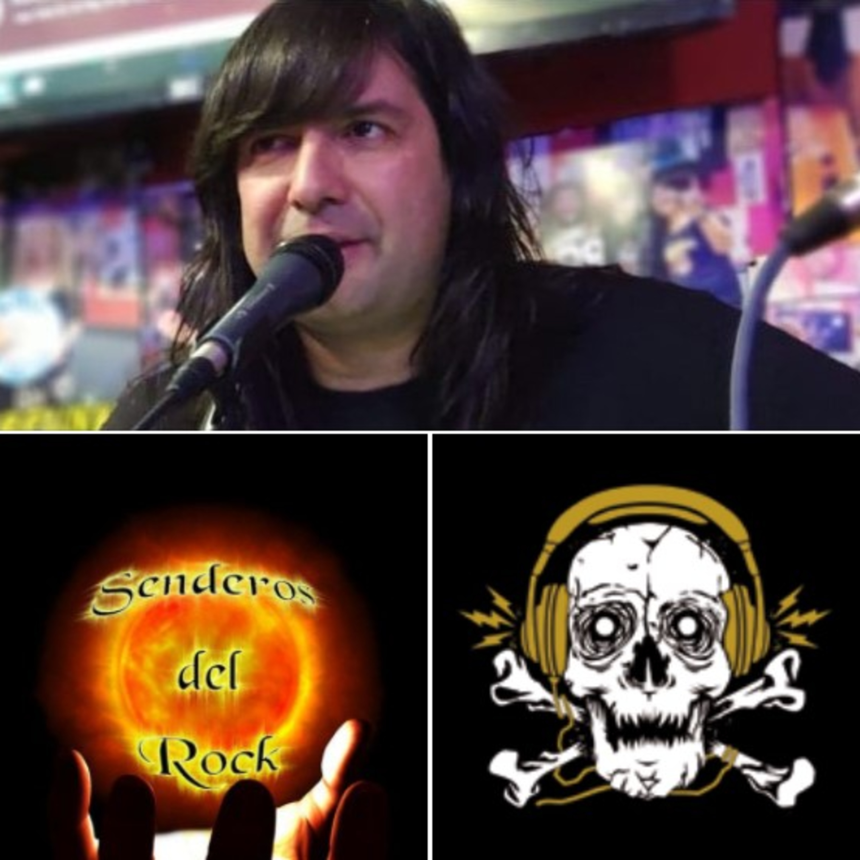 La Fauna de Radio Enlace