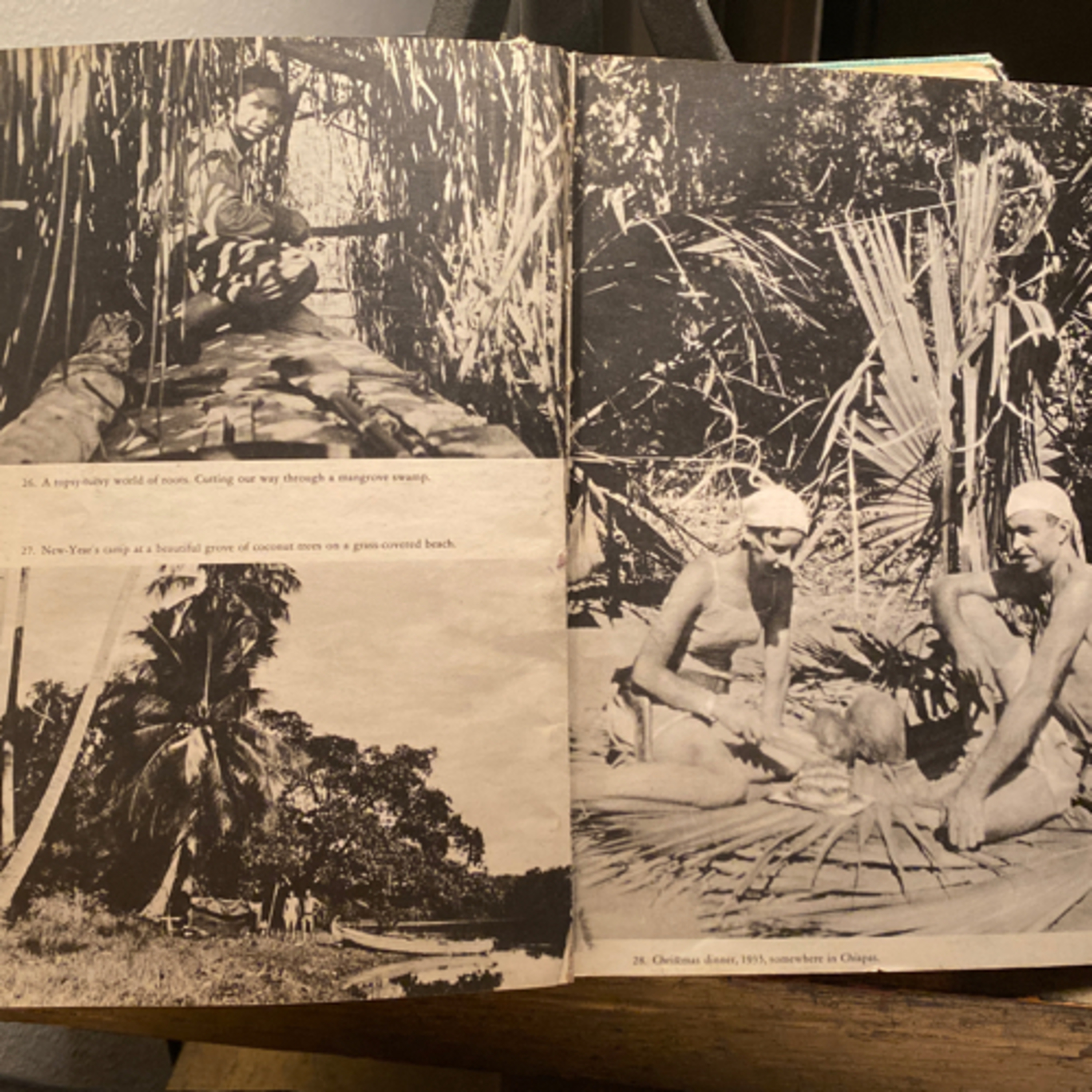 Ch 24, Holiday in the Cerrado episode artwork