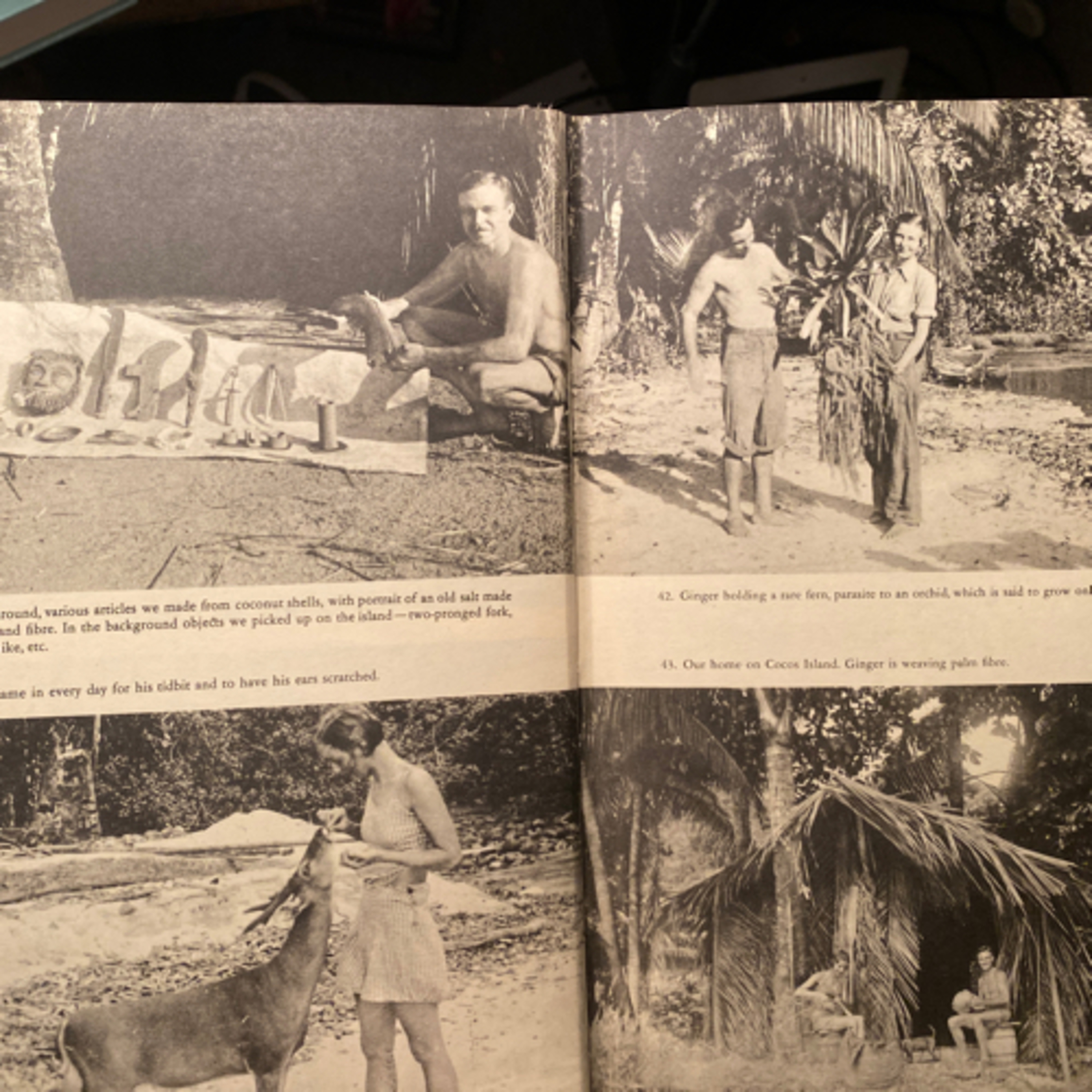Ch 26, The Last Adventure--Cocos Island episode artwork