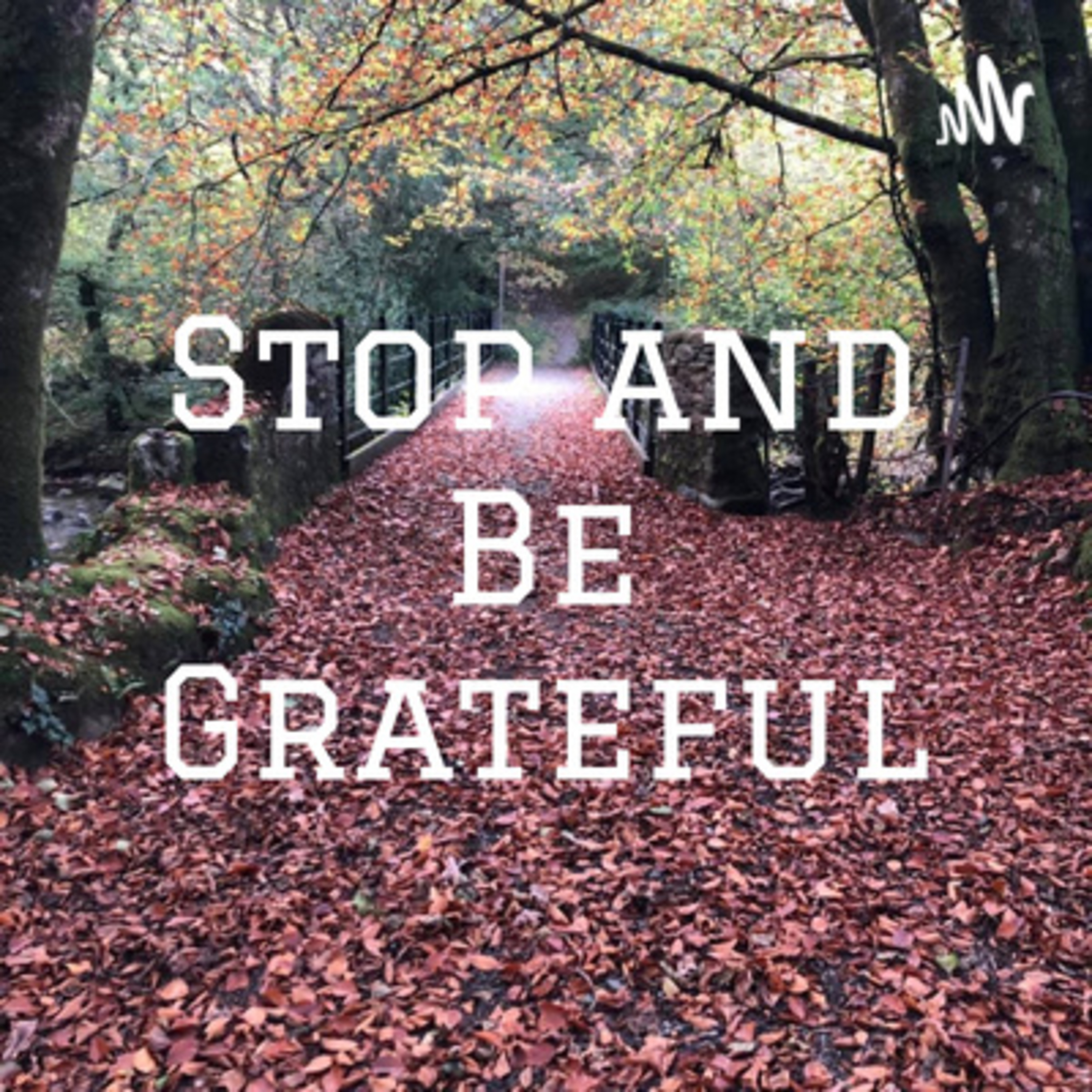 Stop and Be Grateful