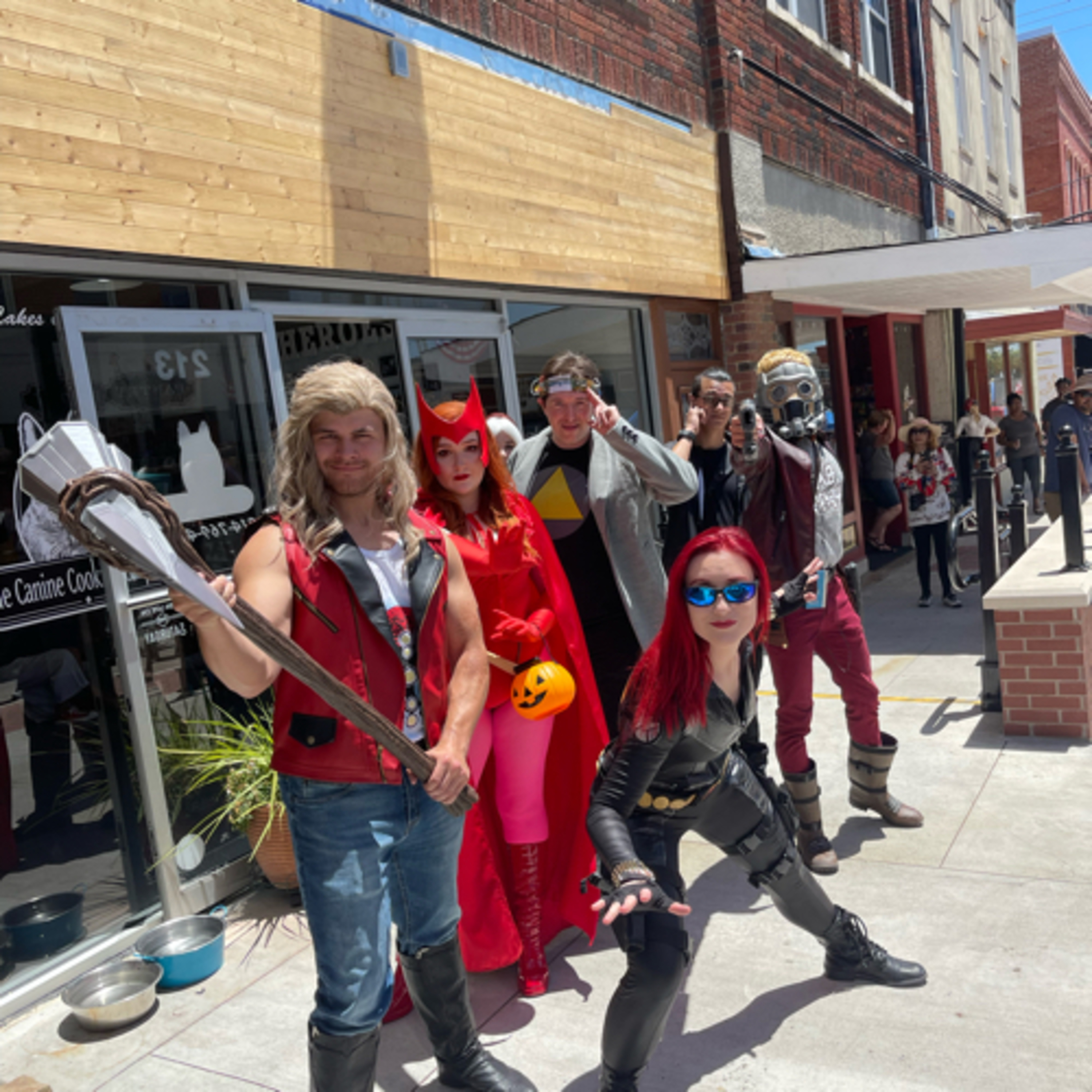 The Matt Anices Experience