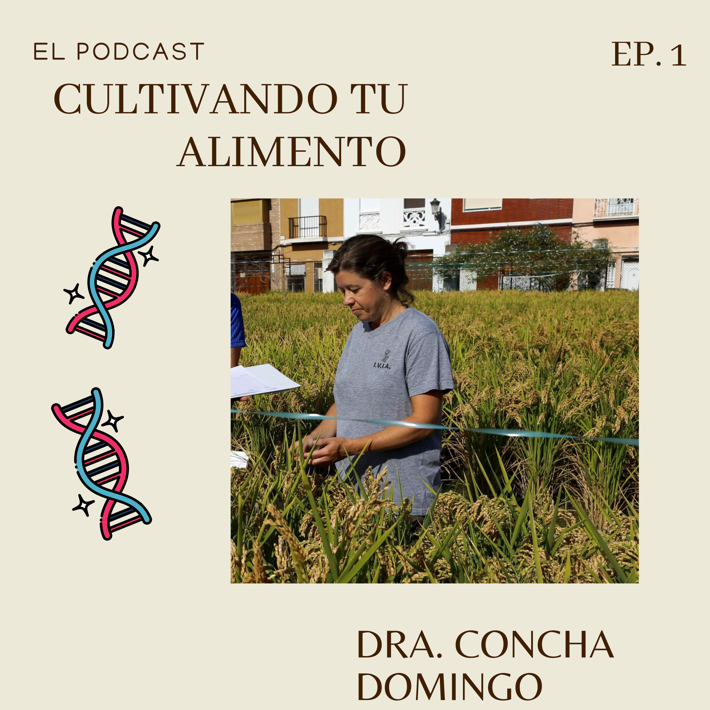 Variedades y mejora del arroz, pasado, presente y futuro.