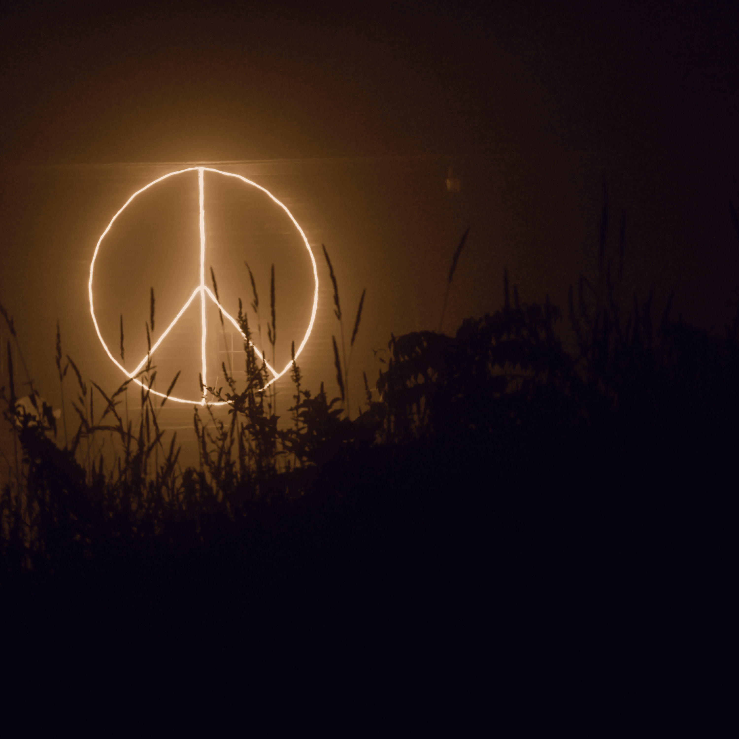 Peace $ign episode artwork