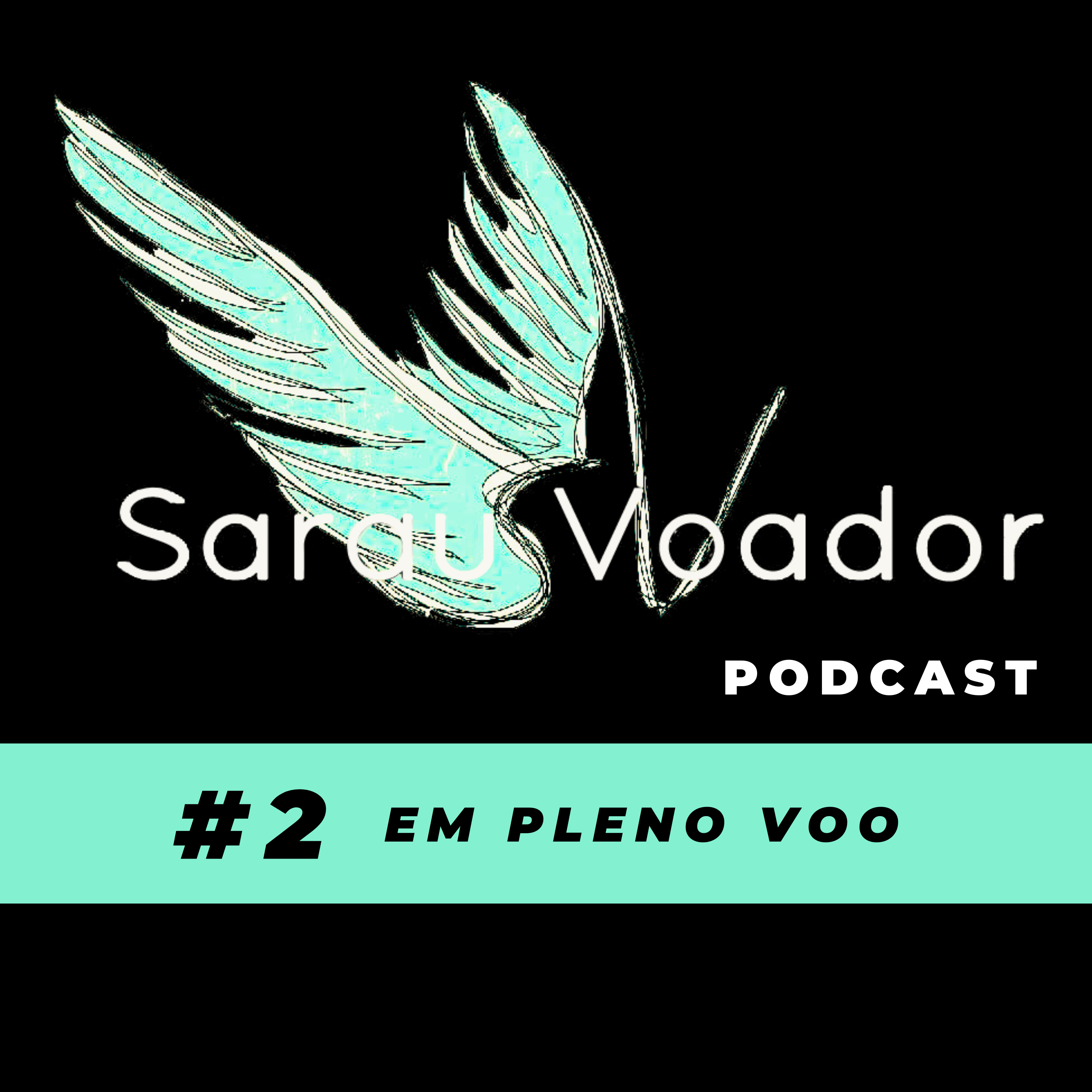 Sarau Voador