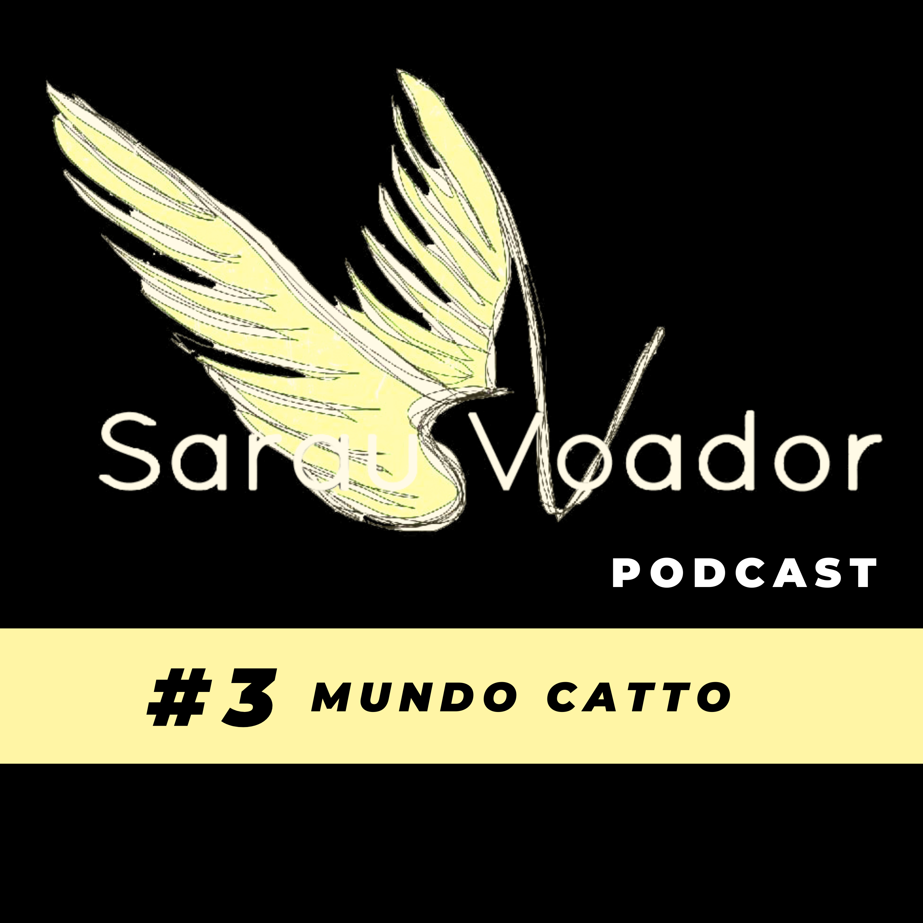 Sarau Voador