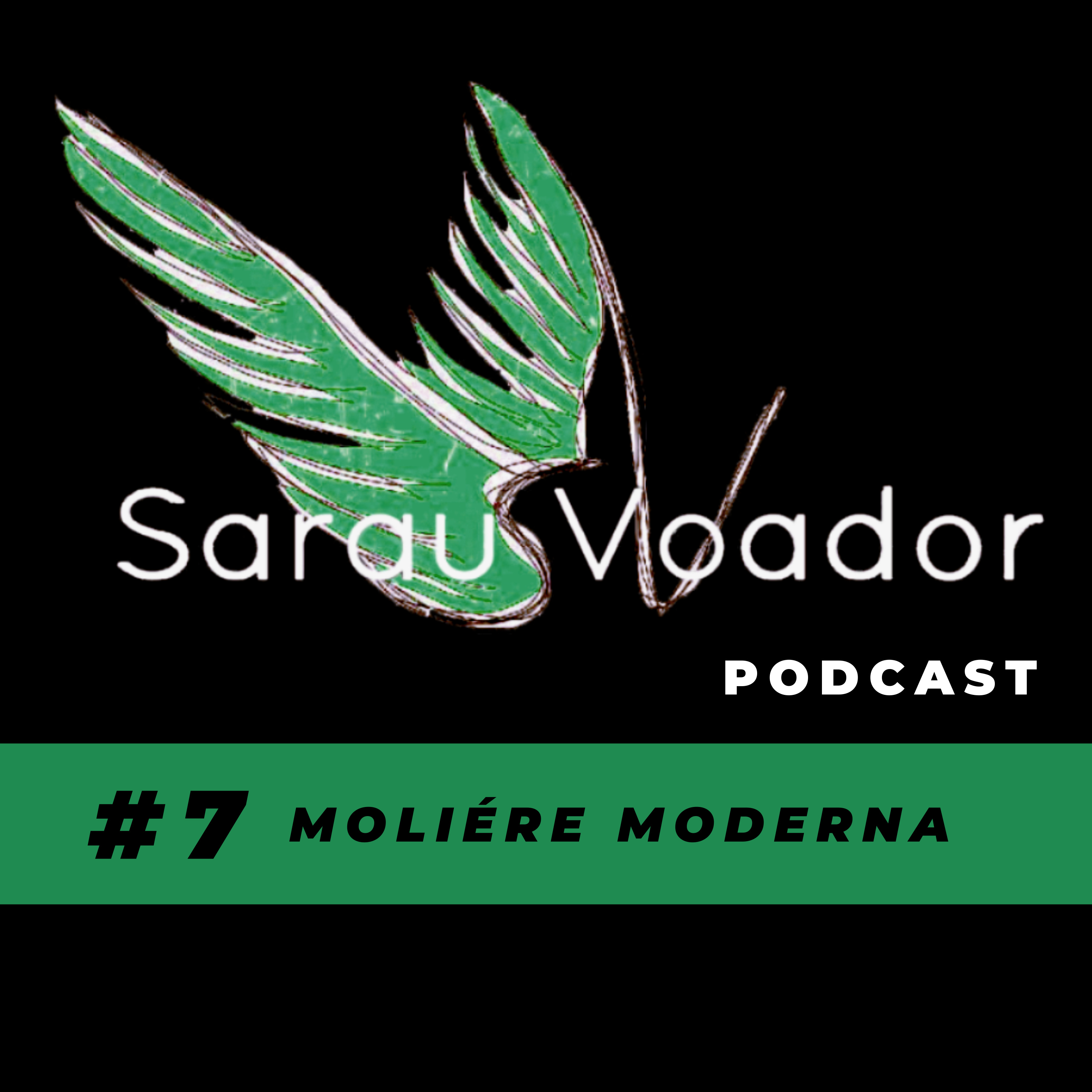 Sarau Voador