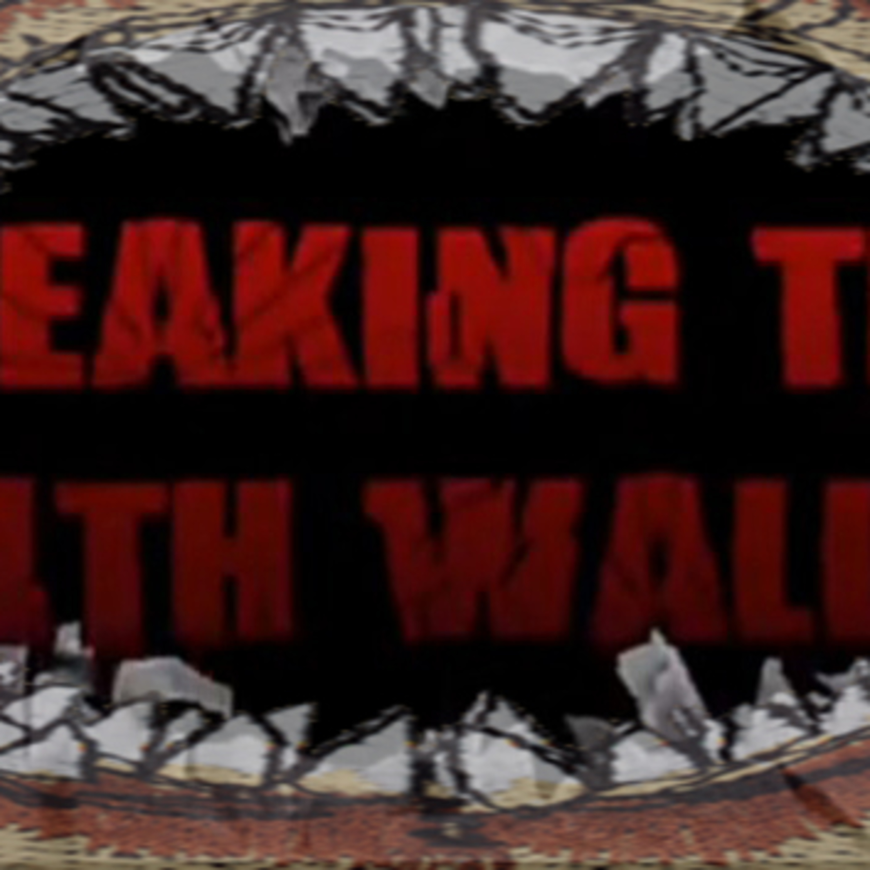 Breaking the 4th Wall Podcast